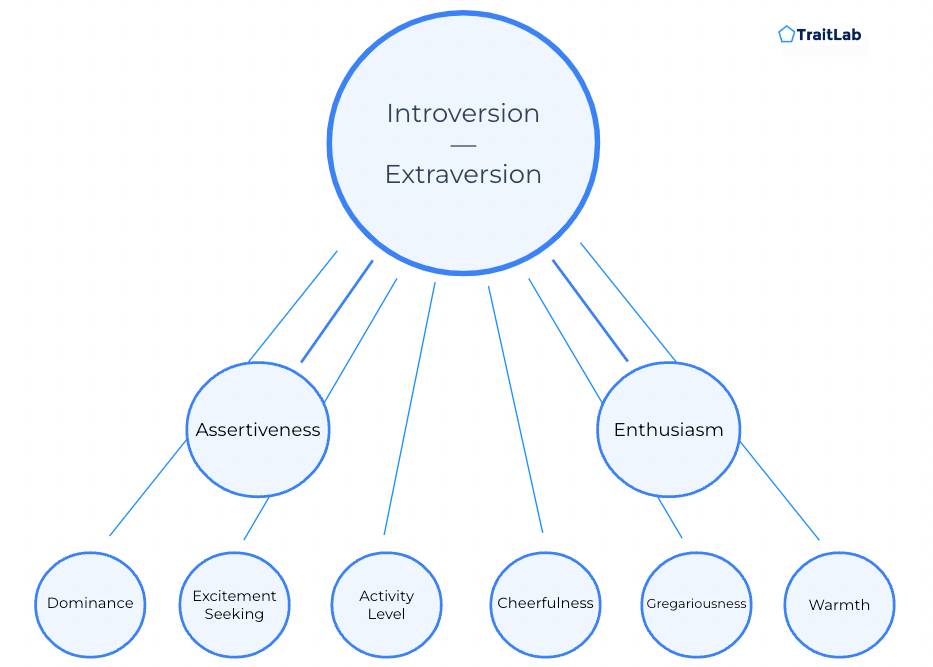 Big Five Extraversion (aspects and facets)