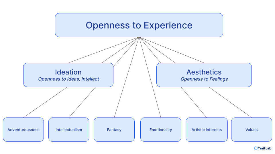 the-openness-to-experience-personality-dimension