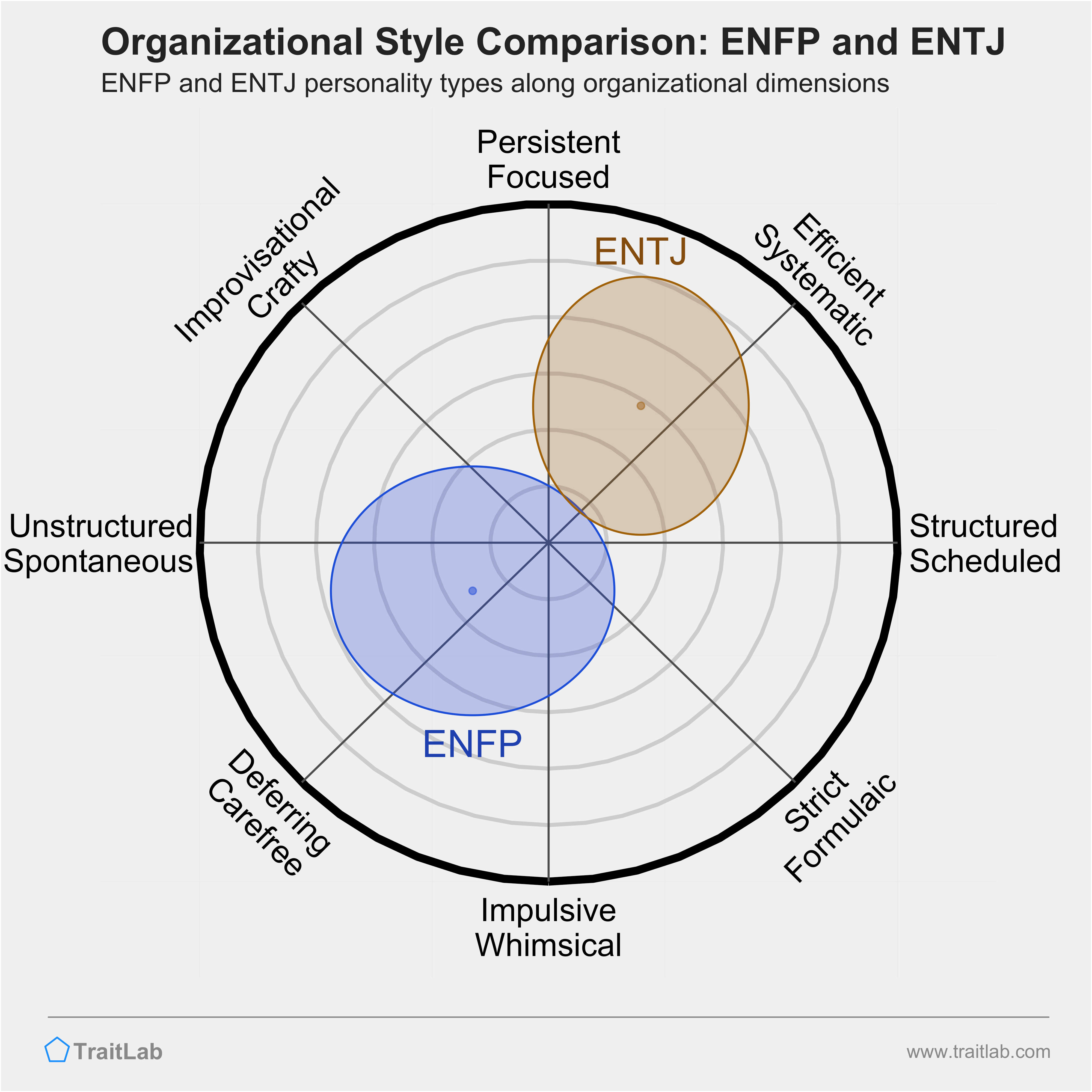 ENFP and ENTJ comparison across organizational dimensions