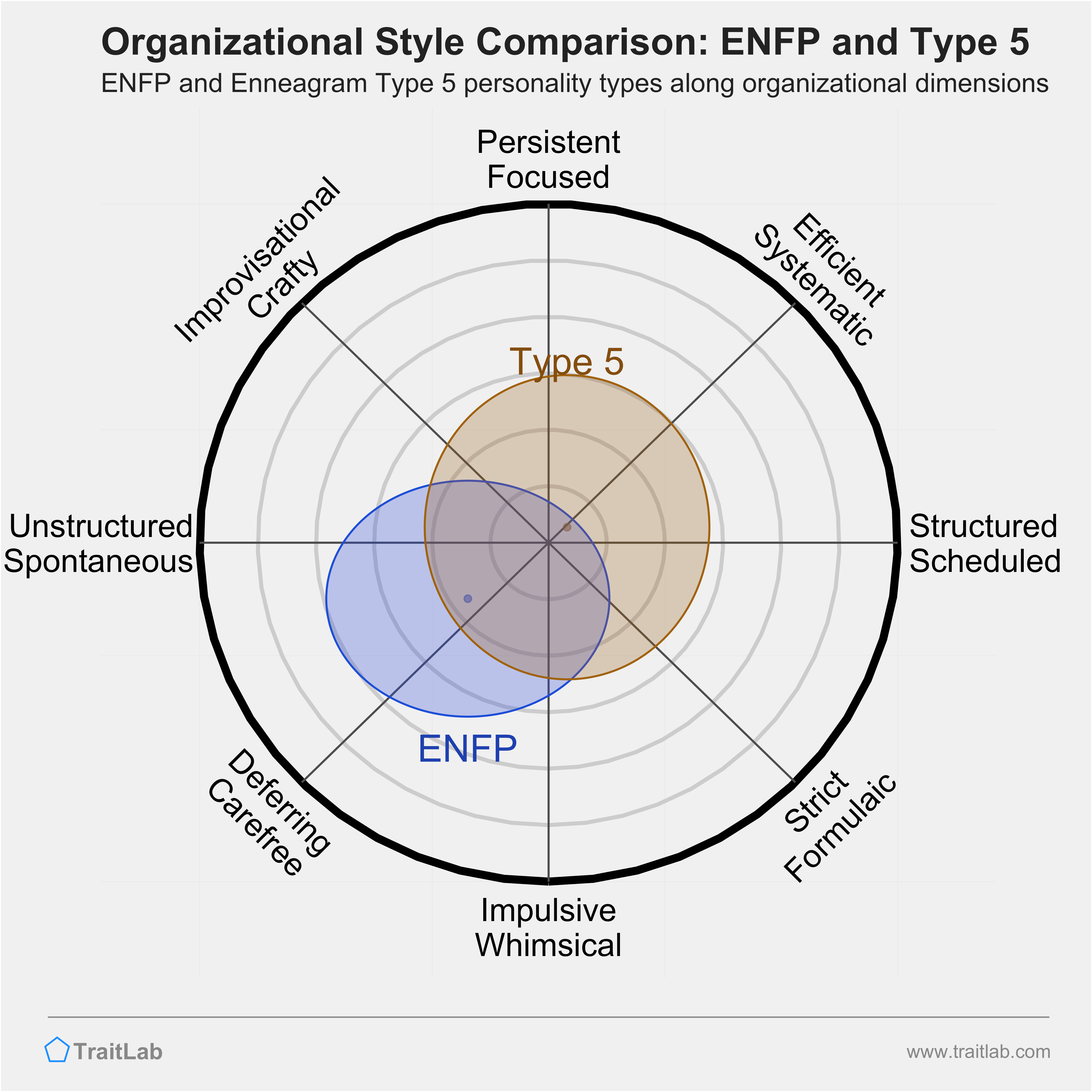 ENFP and Type 5 comparison across organizational dimensions