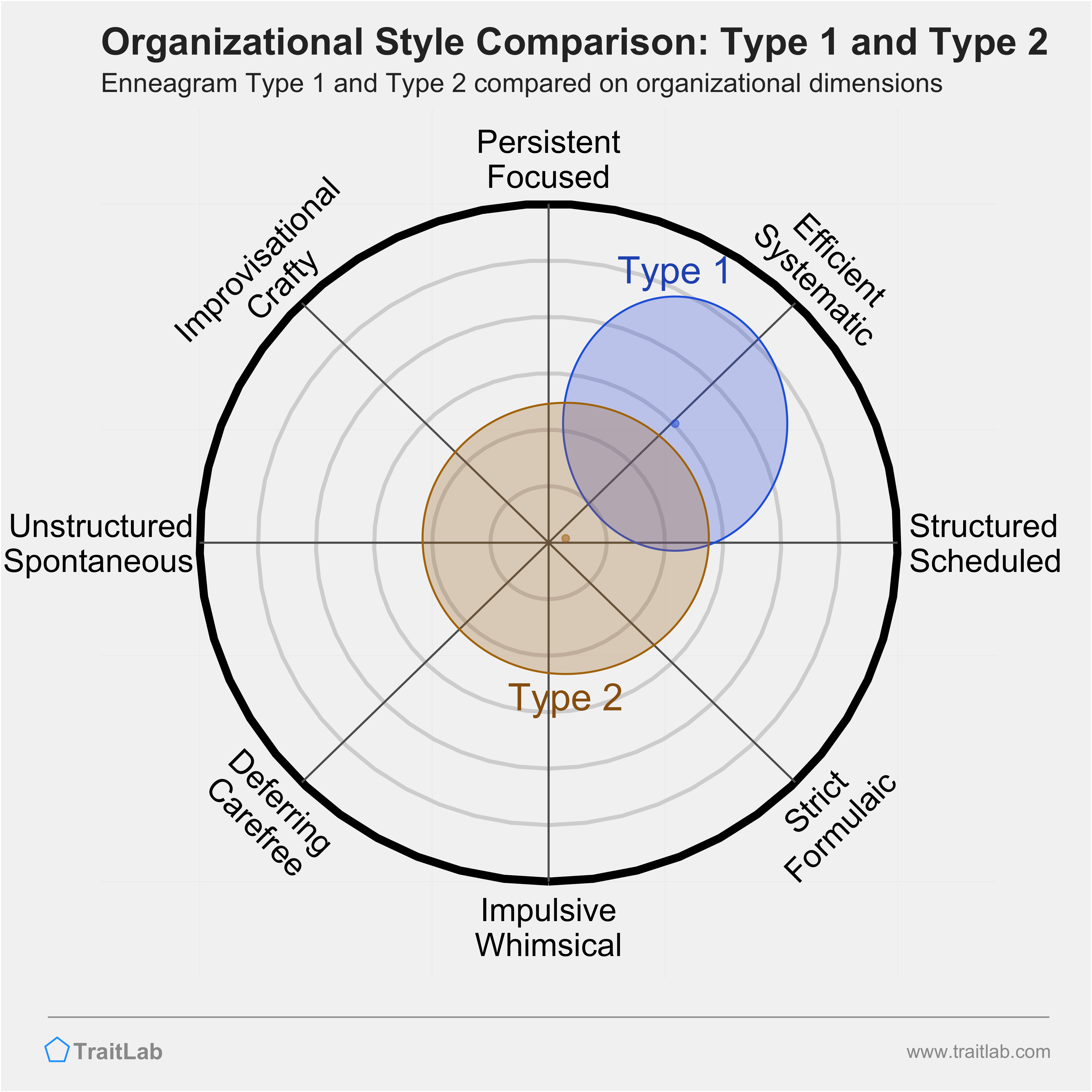 Type 1 and Type 2 comparison across organizational dimensions