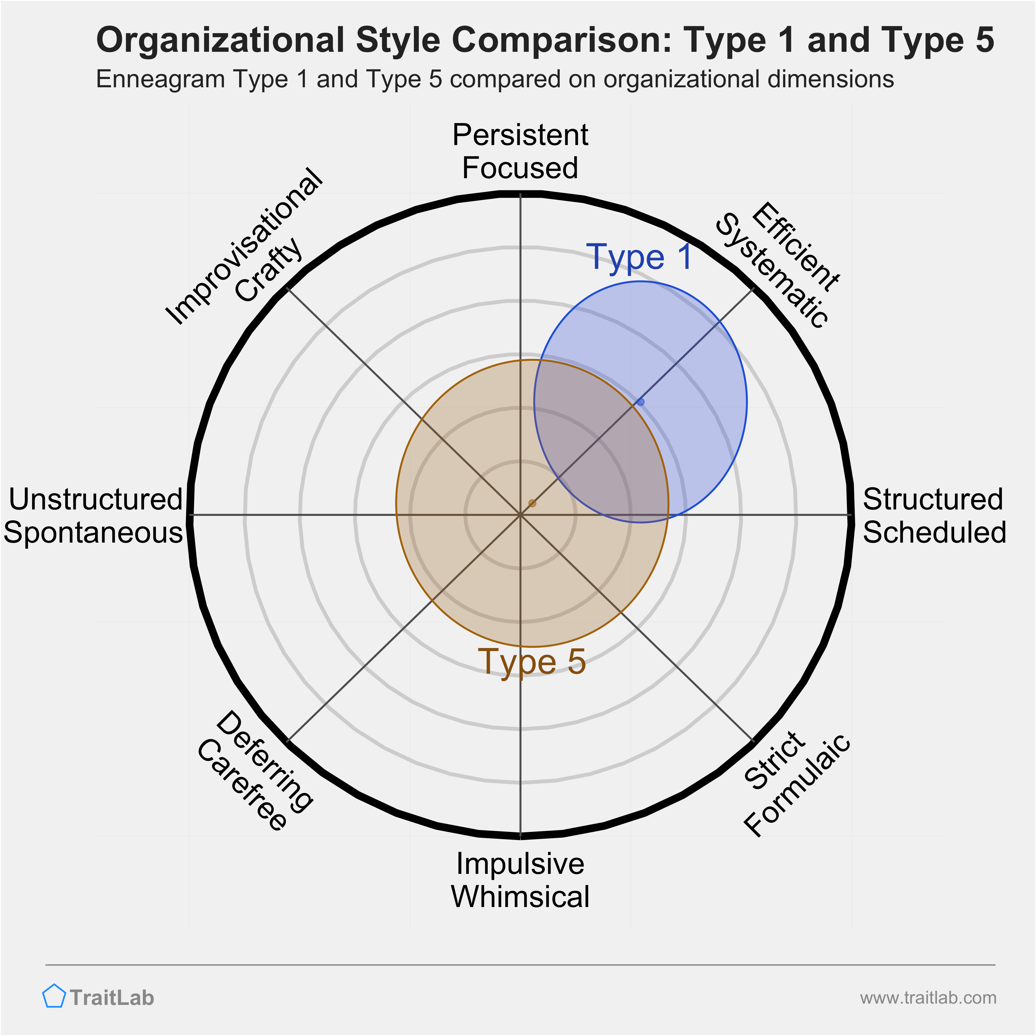 Type 1 and Type 5 comparison across organizational dimensions