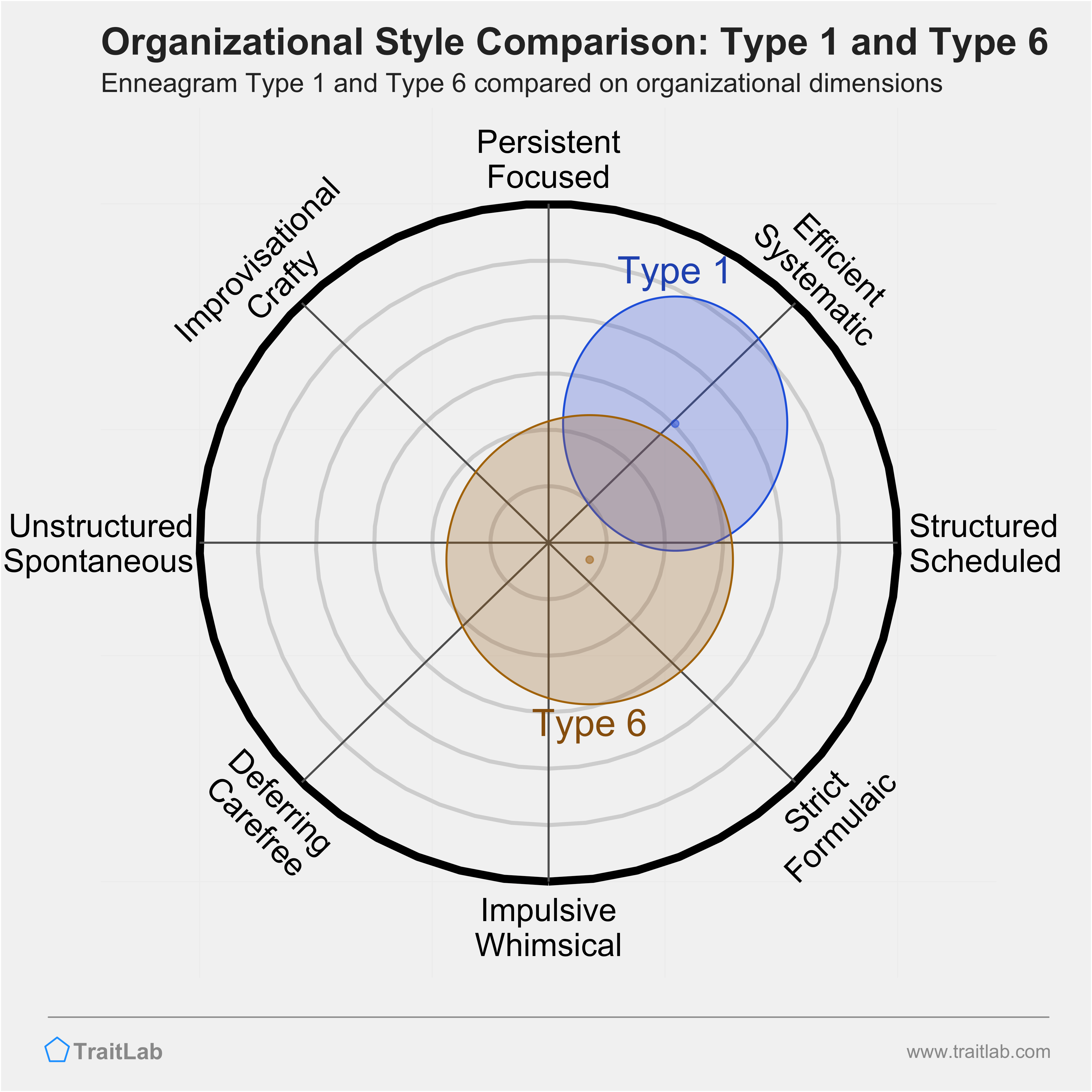 Type 1 and Type 6 comparison across organizational dimensions