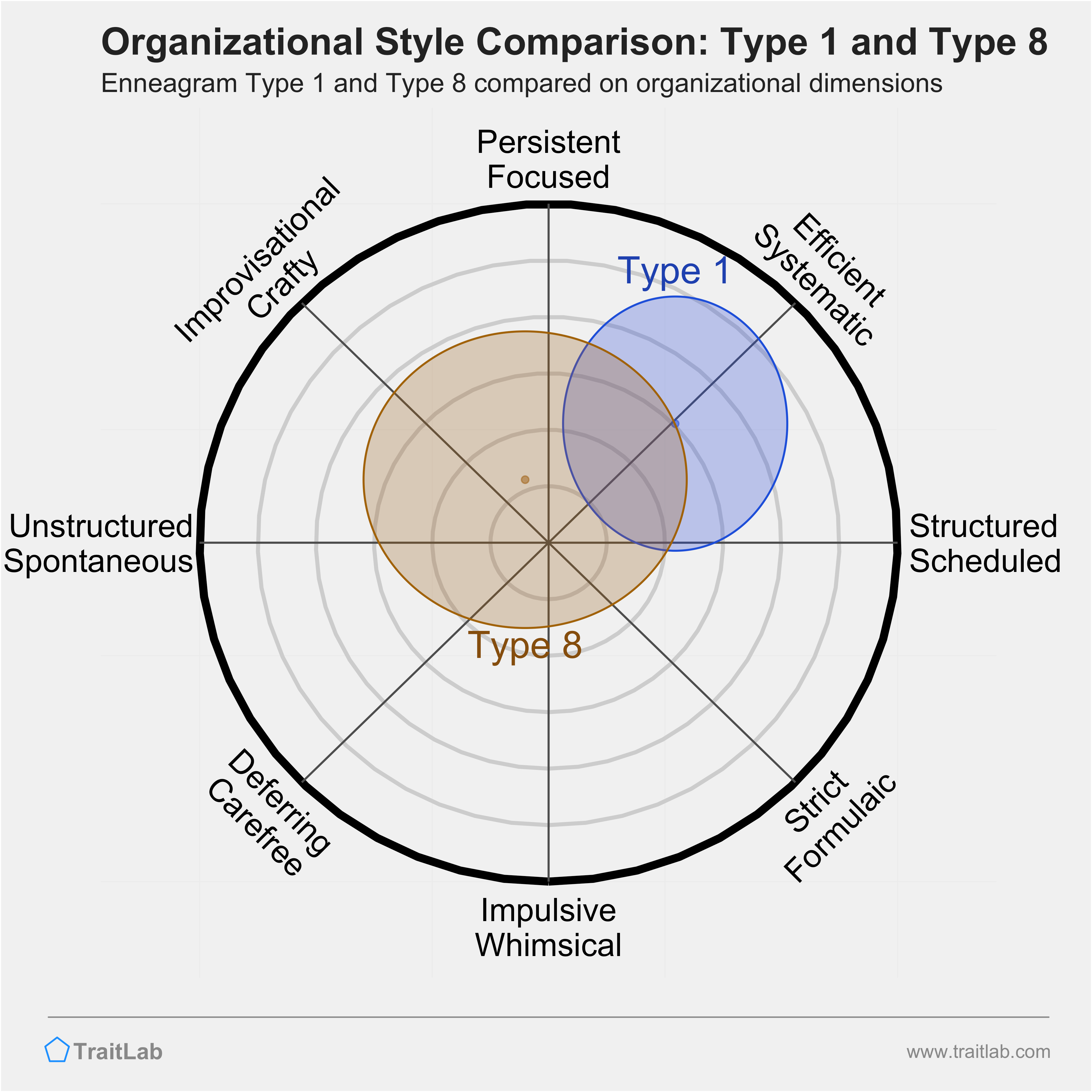 Type 1 and Type 8 comparison across organizational dimensions