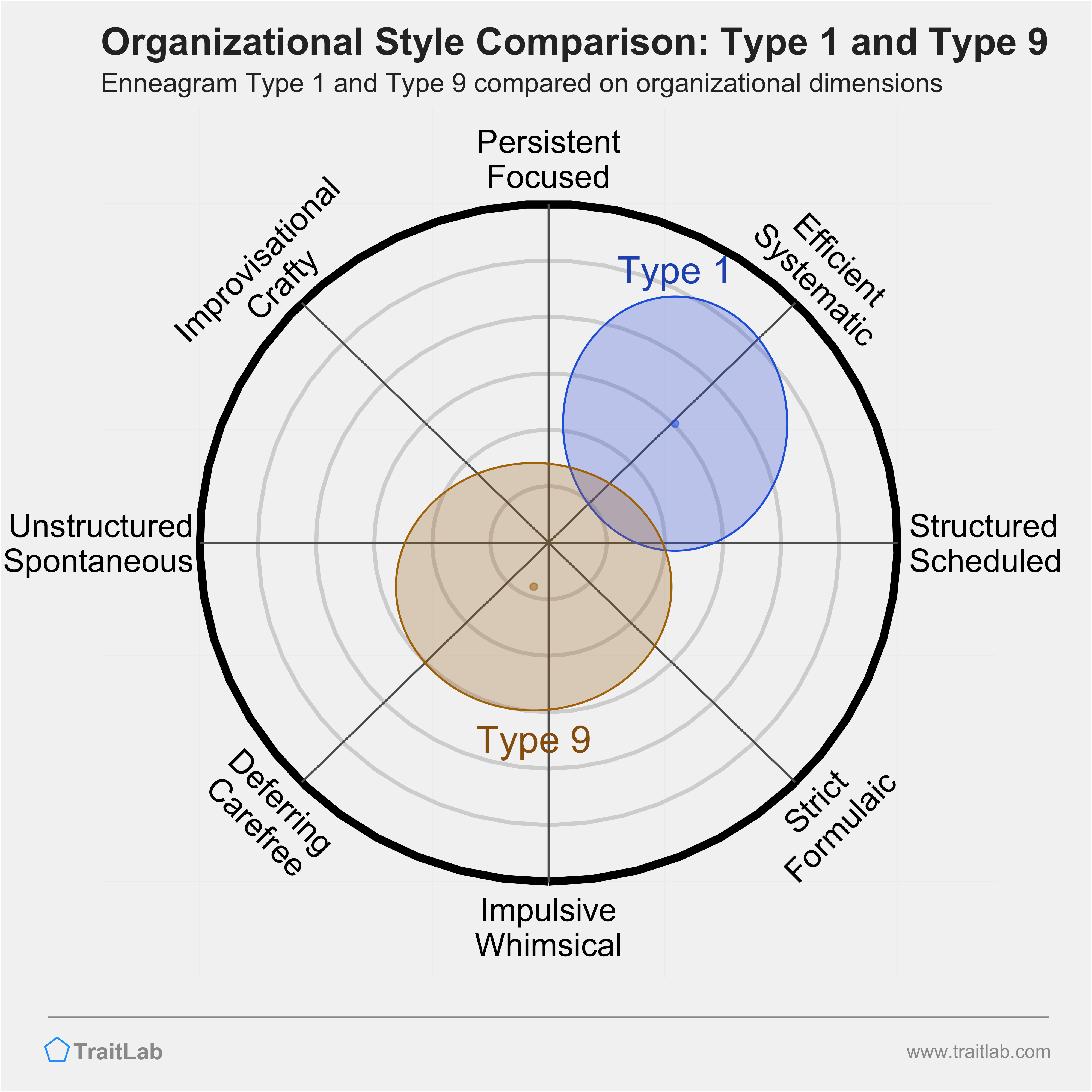 Type 1 and Type 9 comparison across organizational dimensions