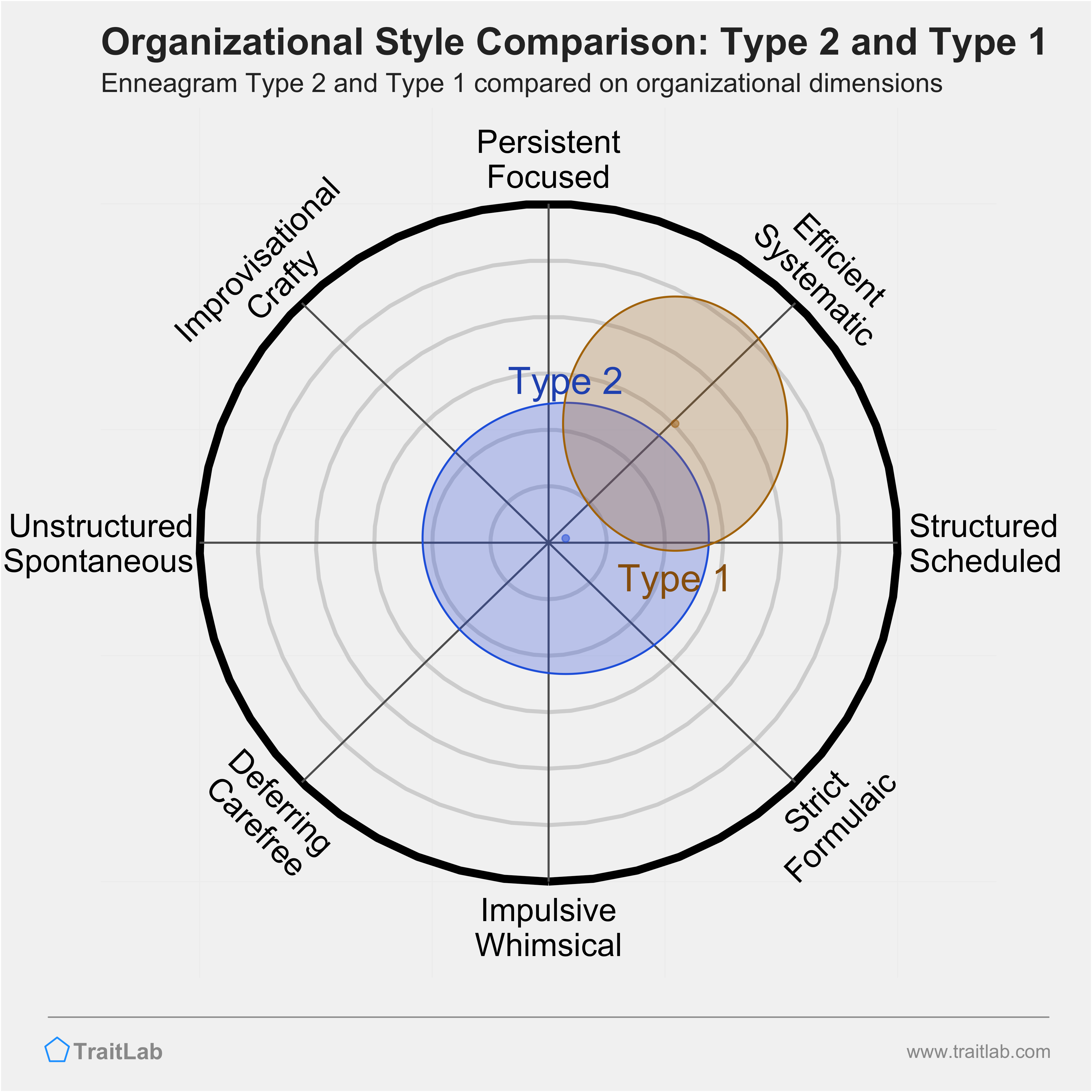 Type 2 and Type 1 comparison across organizational dimensions