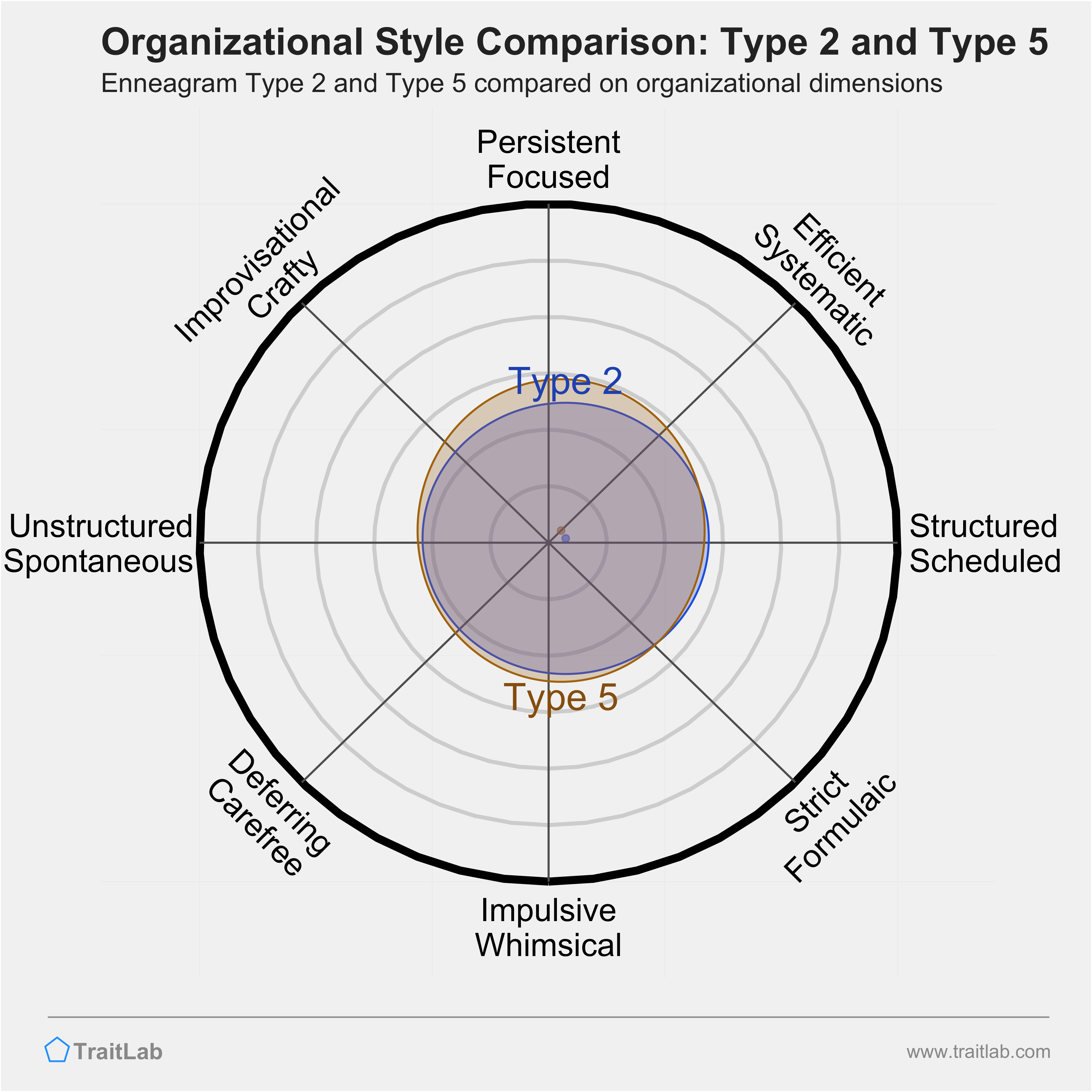 Type 2 and Type 5 comparison across organizational dimensions