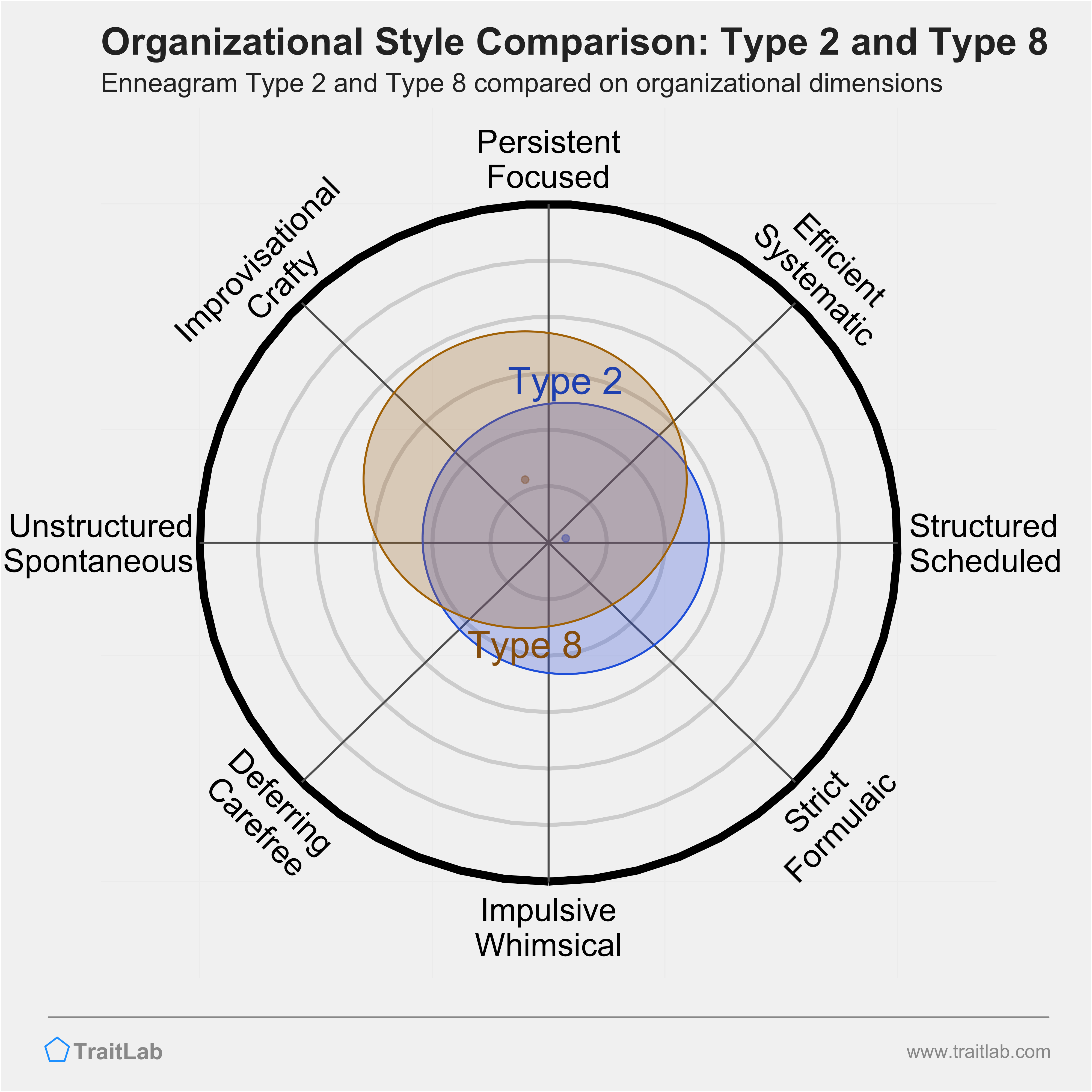 Type 2 and Type 8 comparison across organizational dimensions