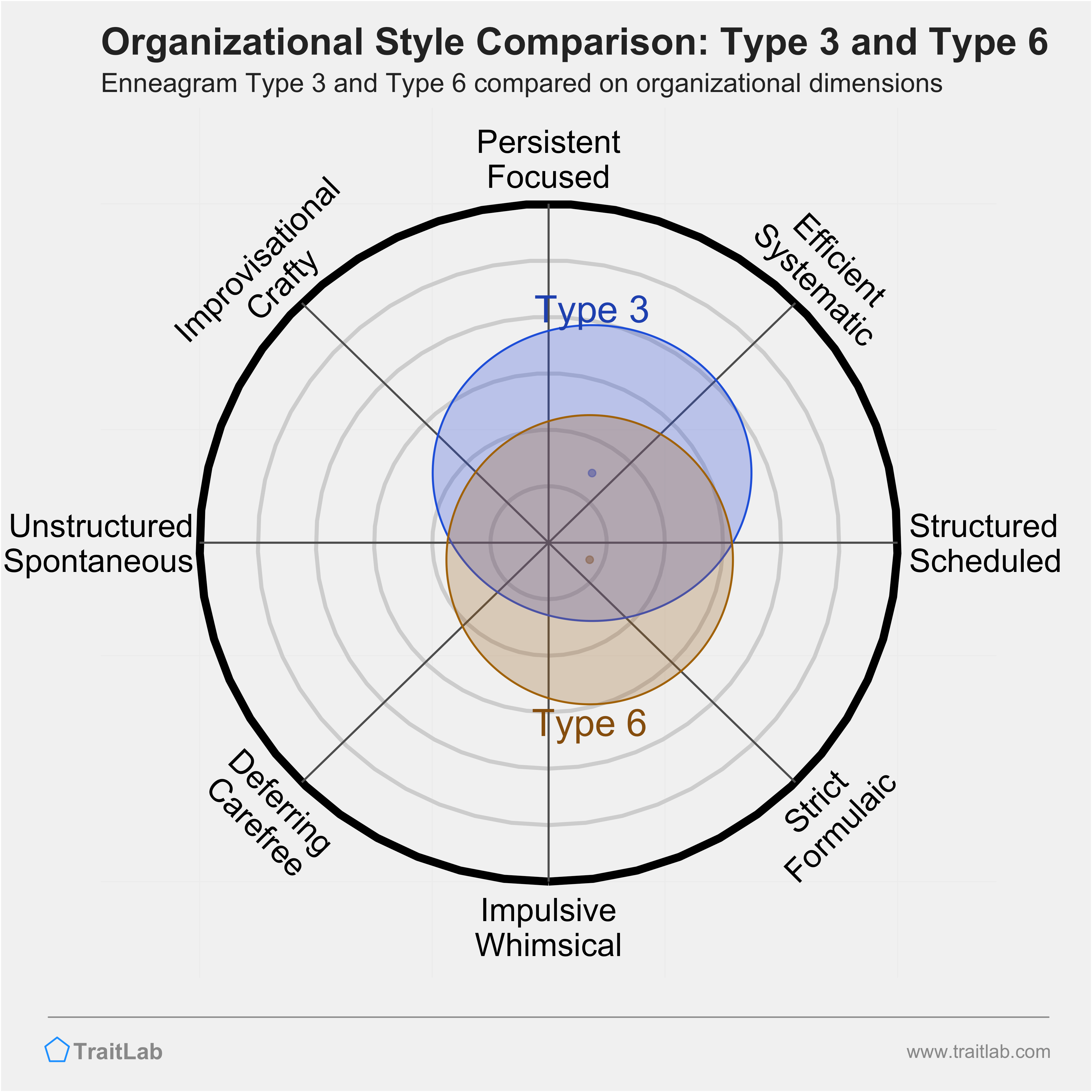 Type 3 and Type 6 comparison across organizational dimensions