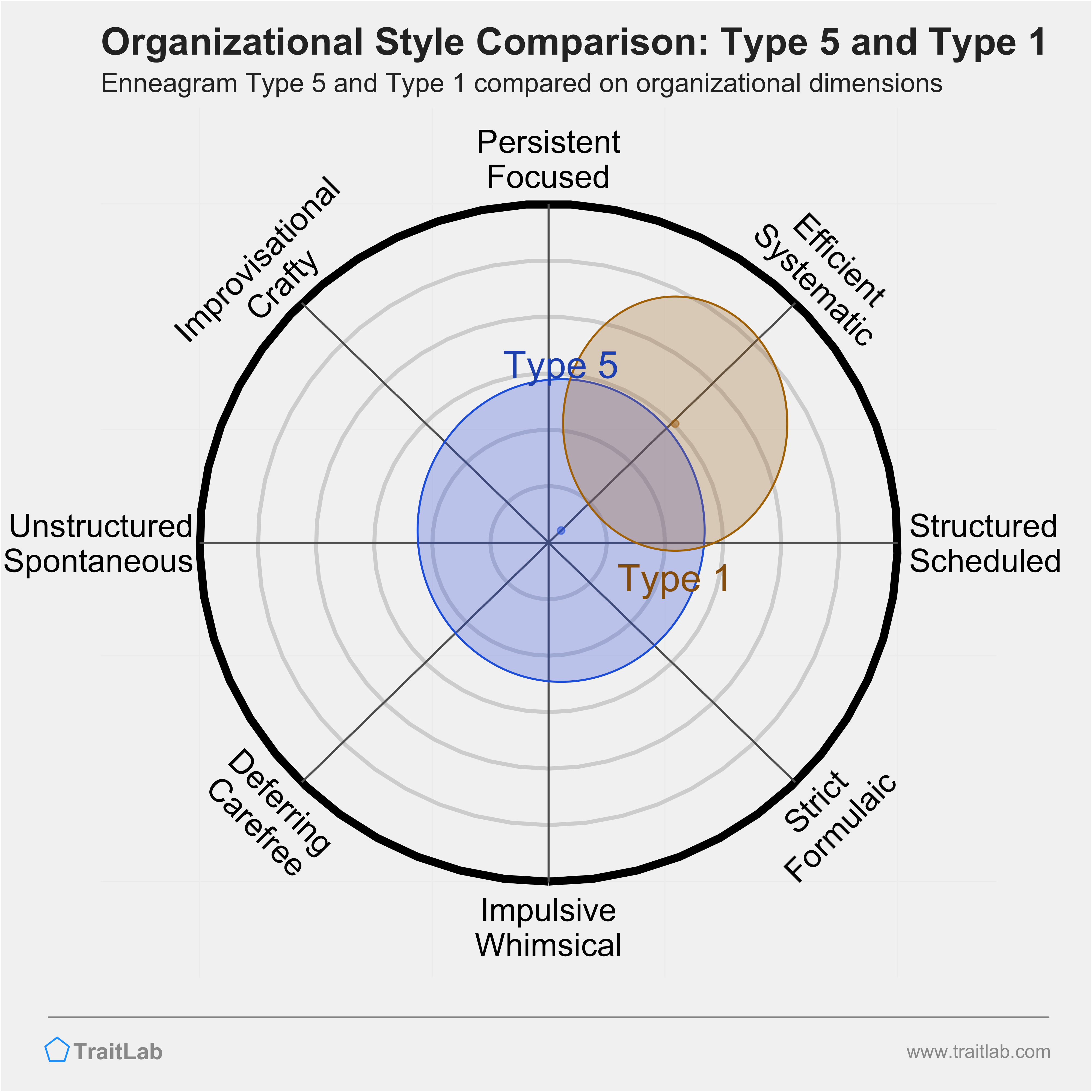 Type 5 and Type 1 comparison across organizational dimensions