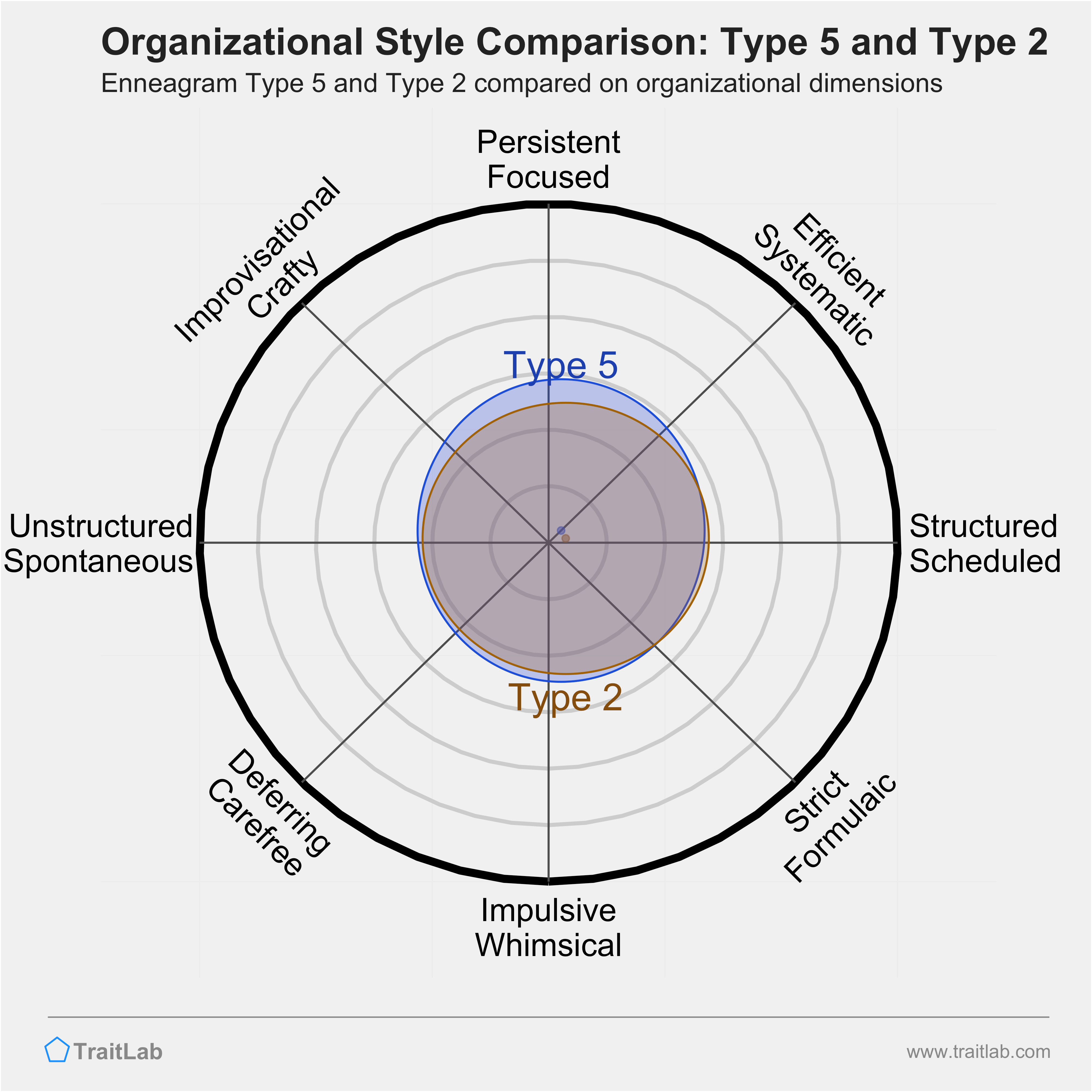 Type 5 and Type 2 comparison across organizational dimensions