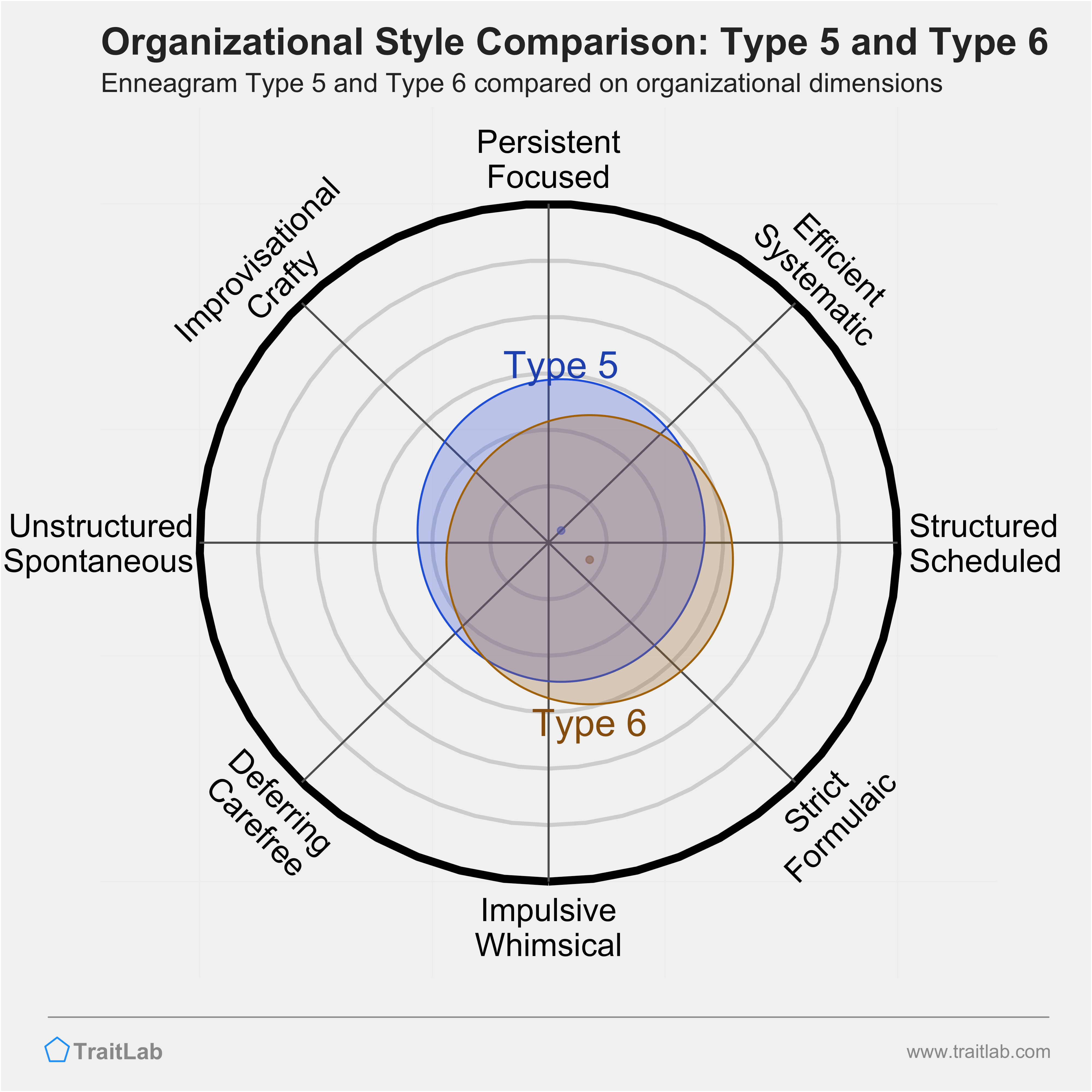 Type 5 and Type 6 comparison across organizational dimensions