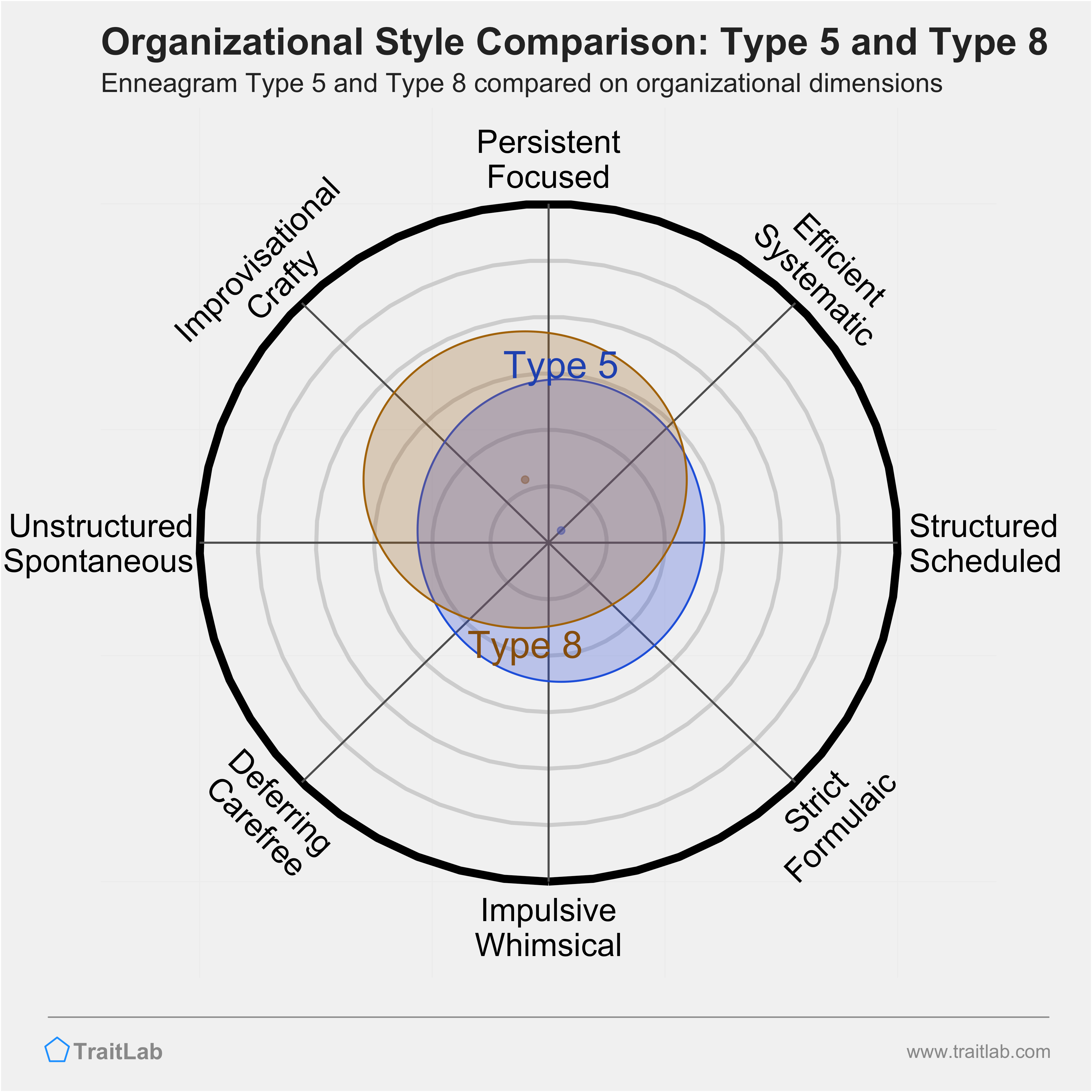 Type 5 and Type 8 comparison across organizational dimensions