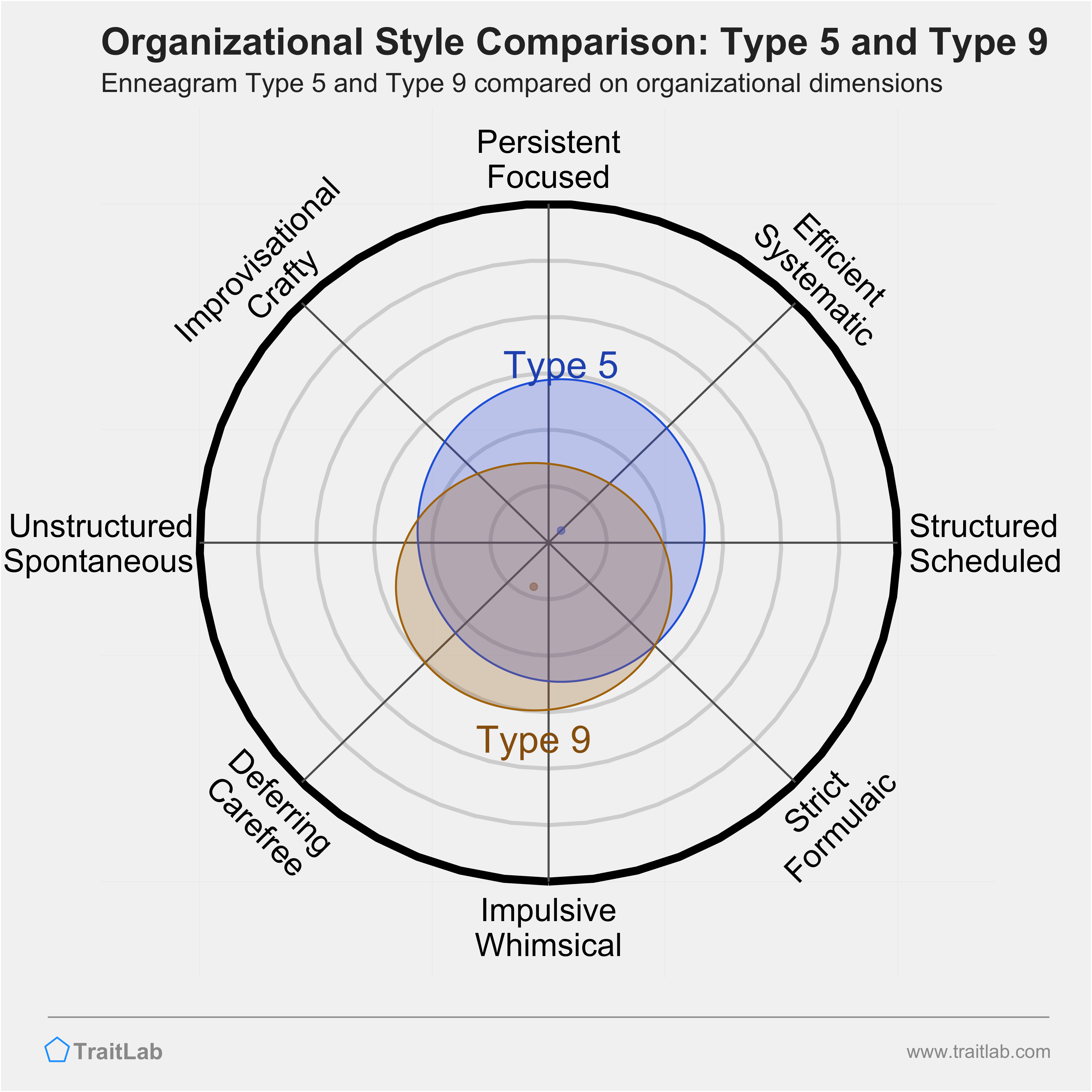 Type 5 and Type 9 comparison across organizational dimensions