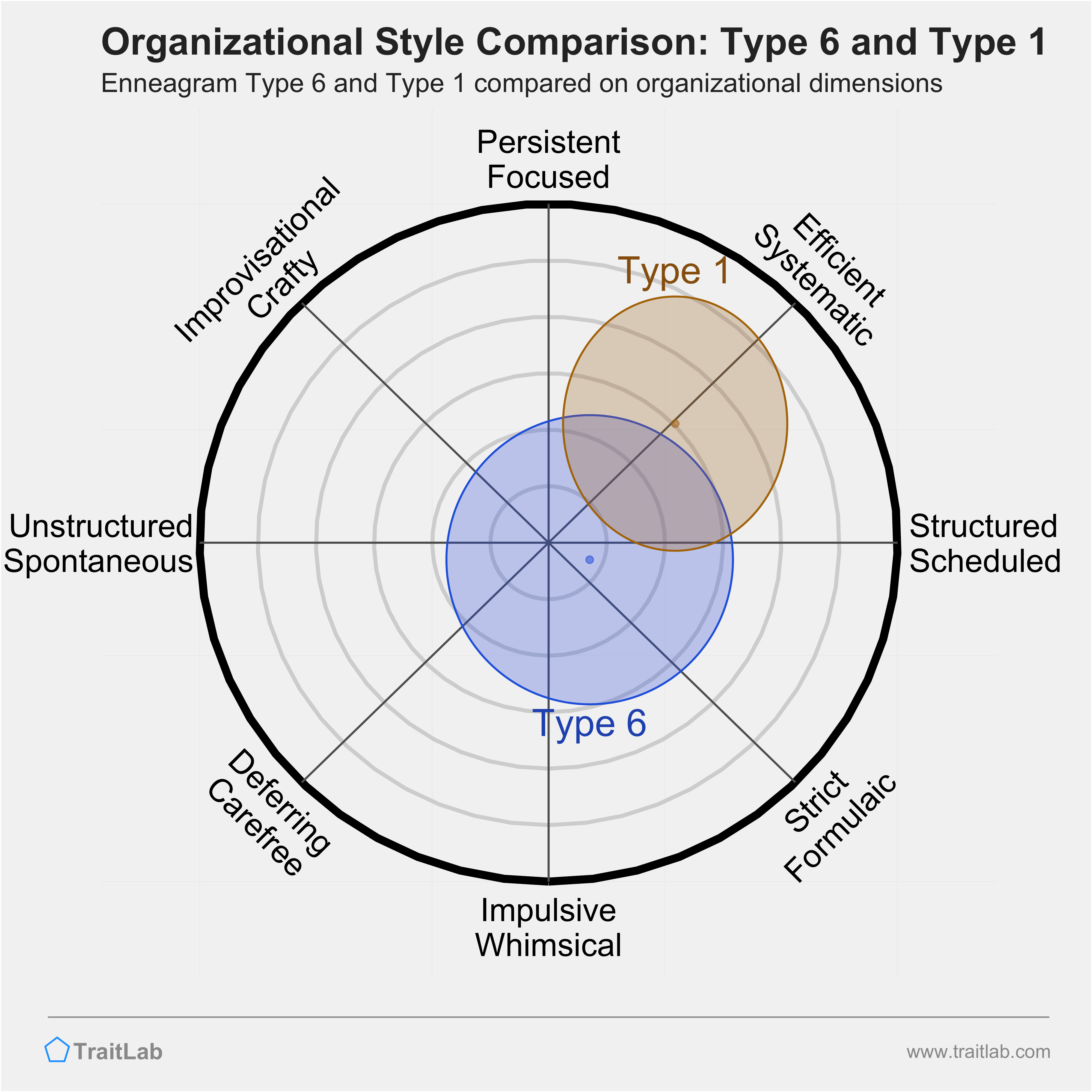Type 6 and Type 1 comparison across organizational dimensions