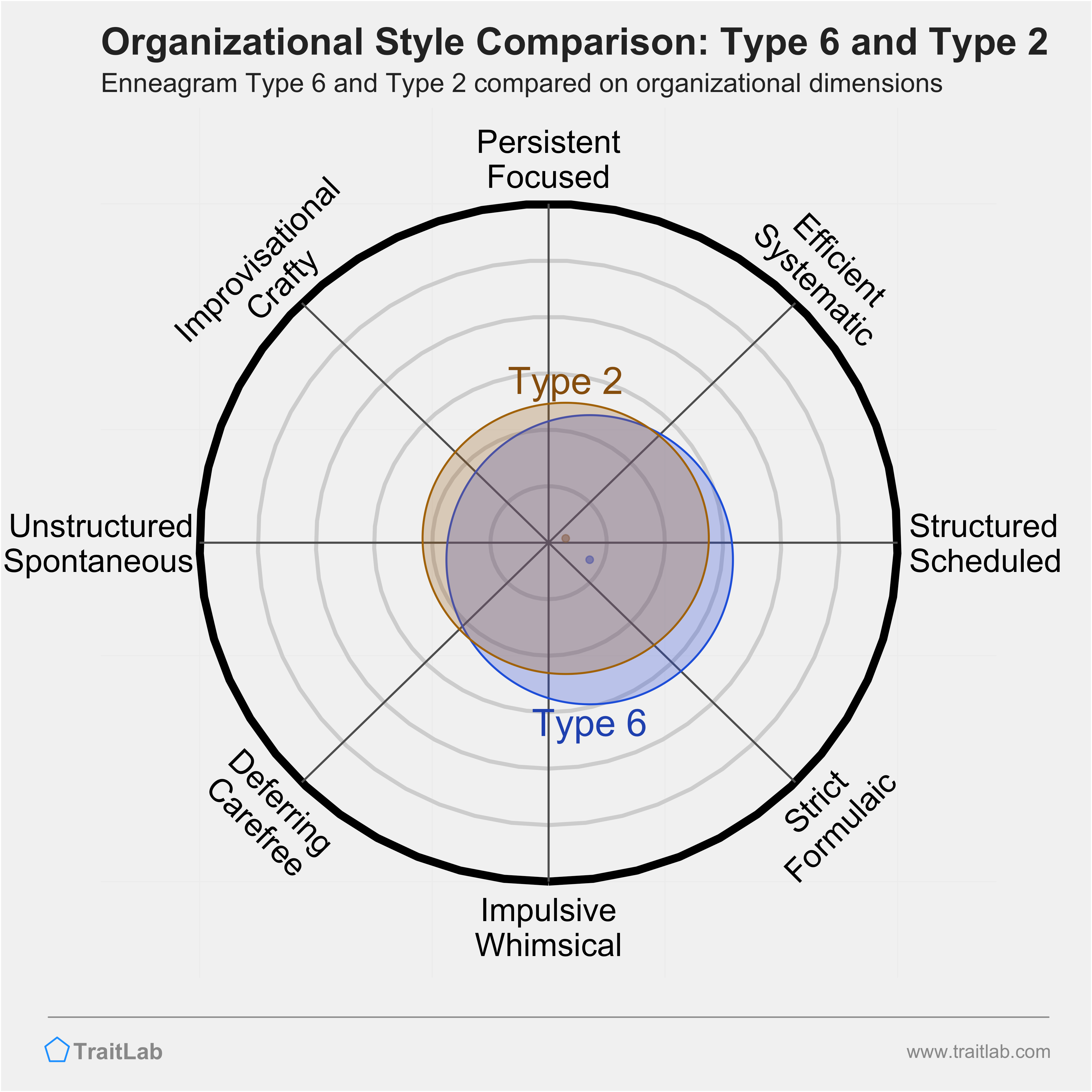 Type 6 and Type 2 comparison across organizational dimensions