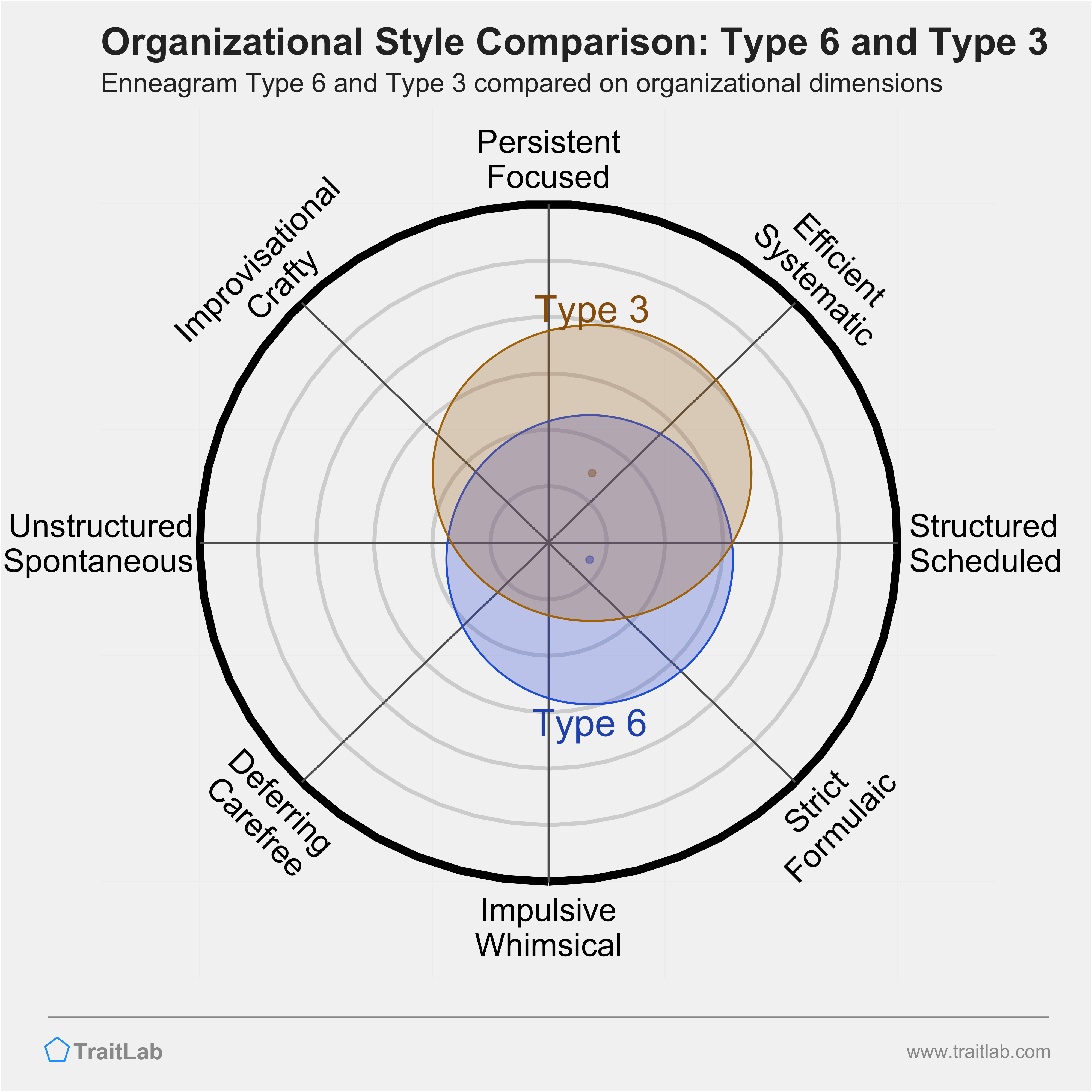 Type 6 and Type 3 comparison across organizational dimensions