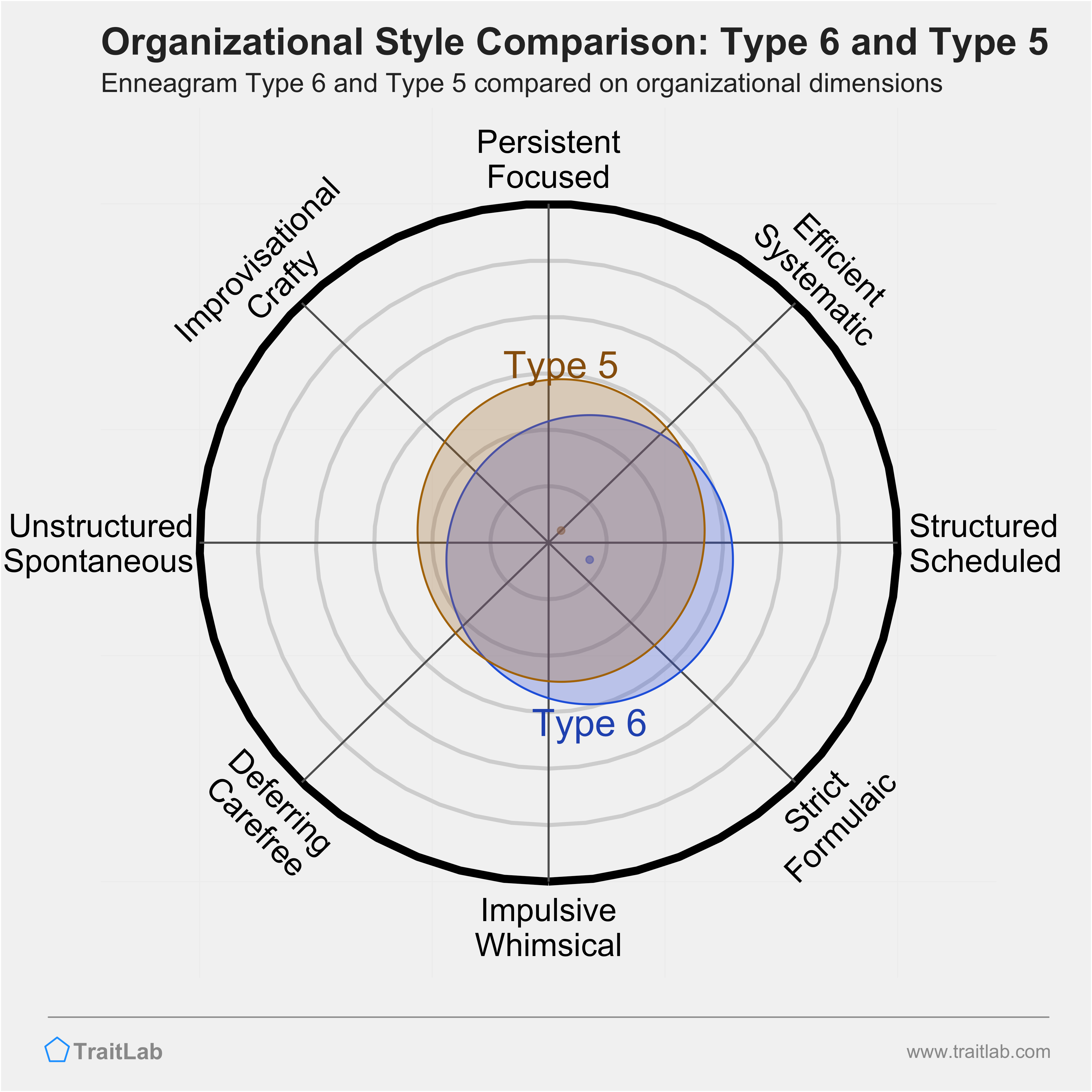 Type 6 and Type 5 comparison across organizational dimensions