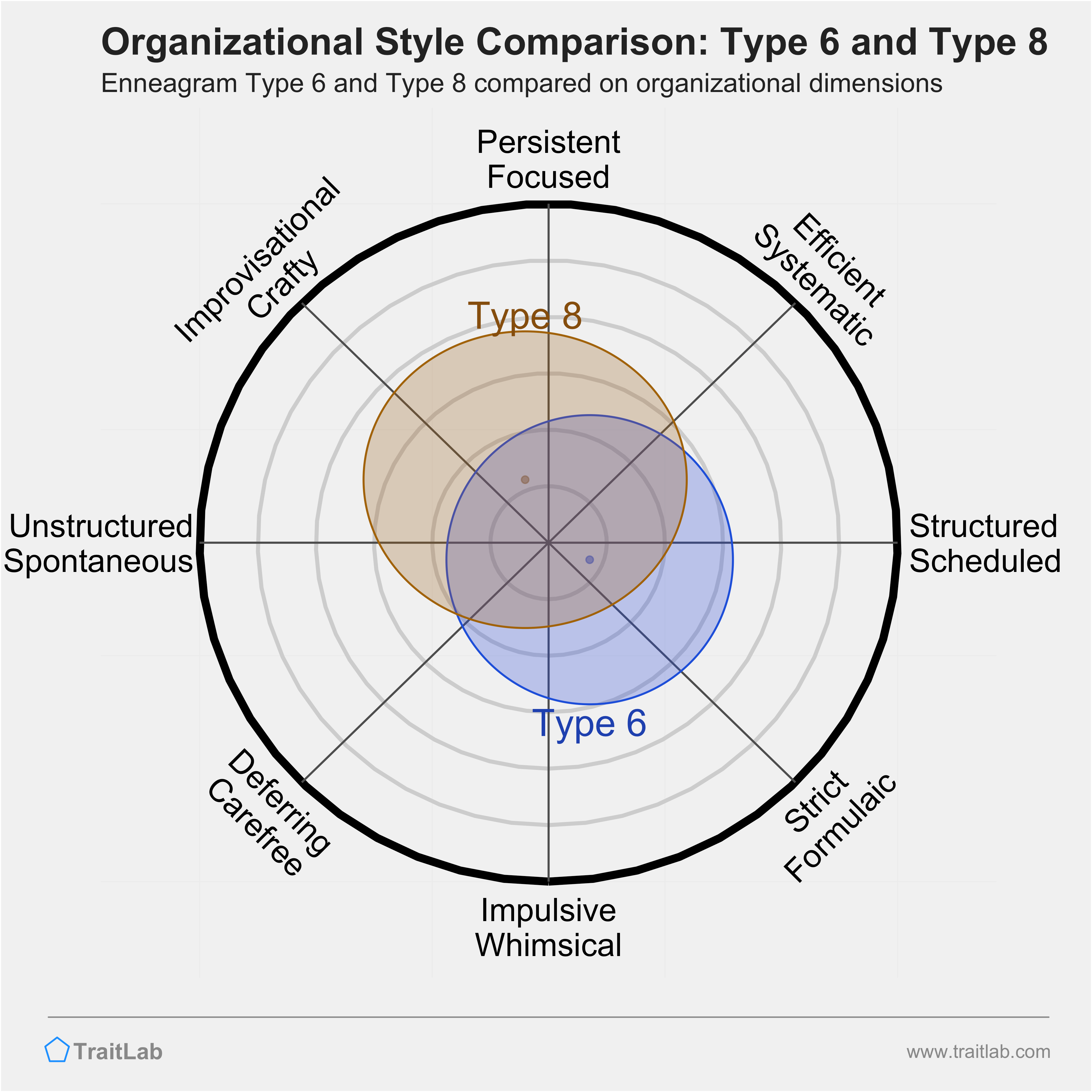 Type 6 and Type 8 comparison across organizational dimensions