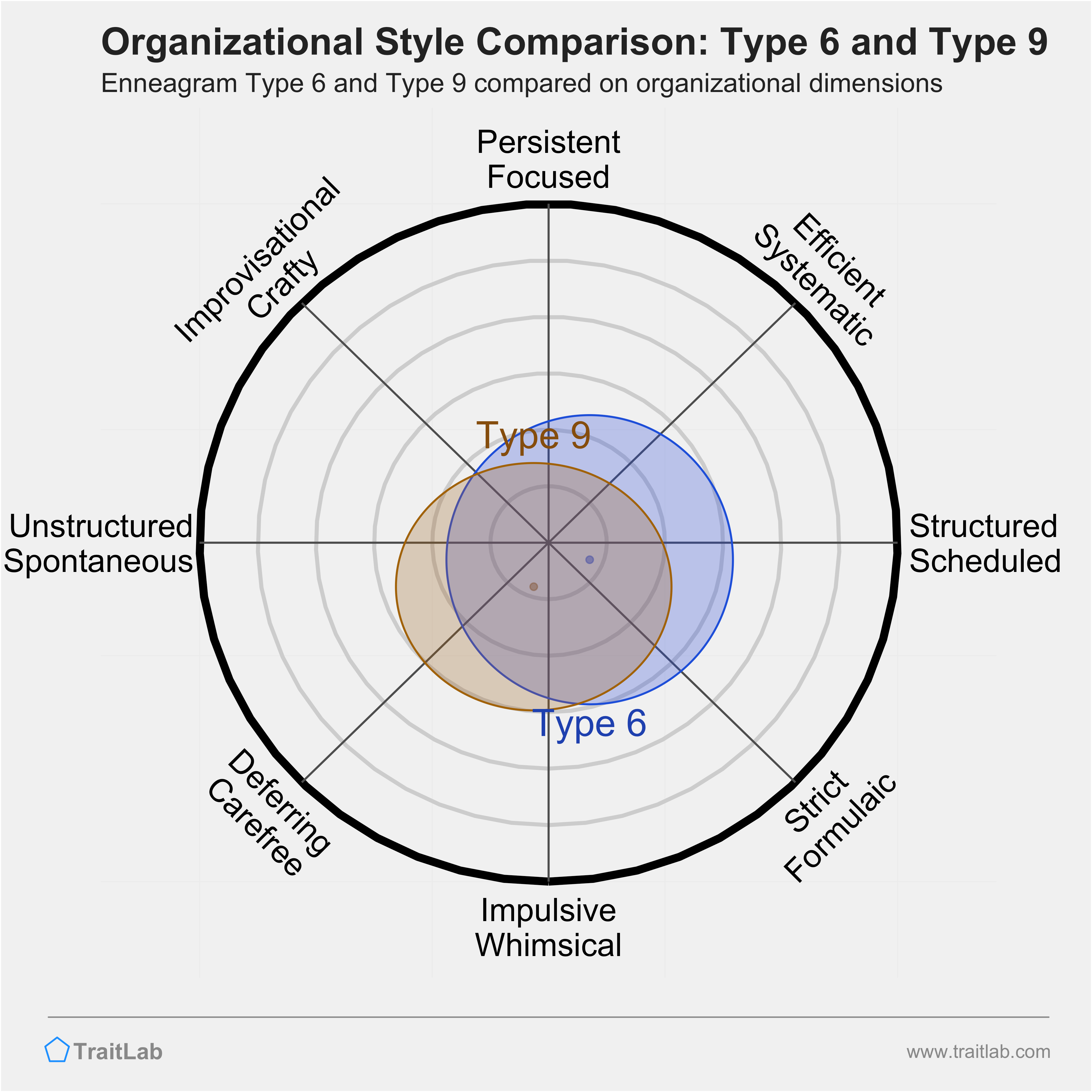 Type 6 and Type 9 comparison across organizational dimensions