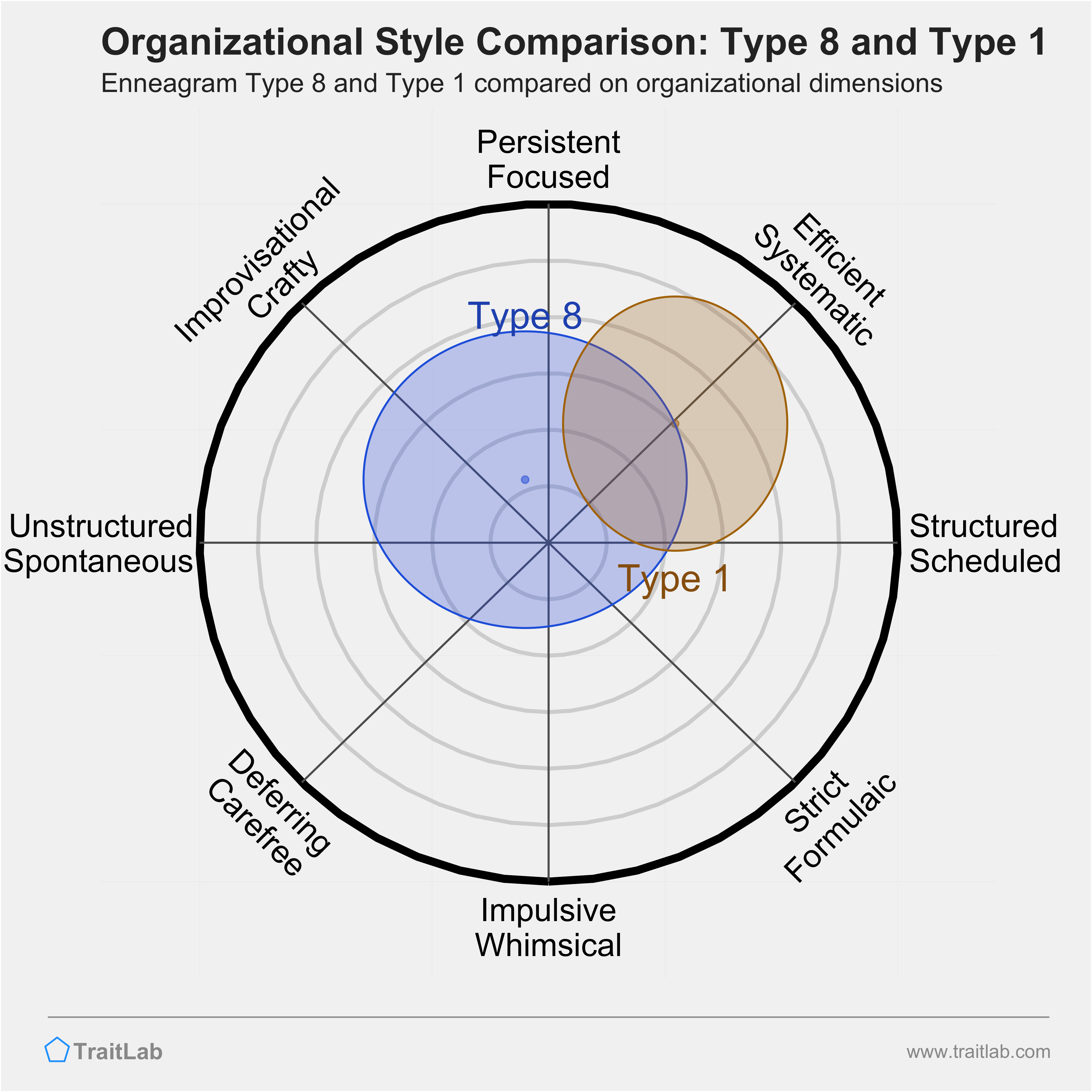 Type 8 and Type 1 comparison across organizational dimensions