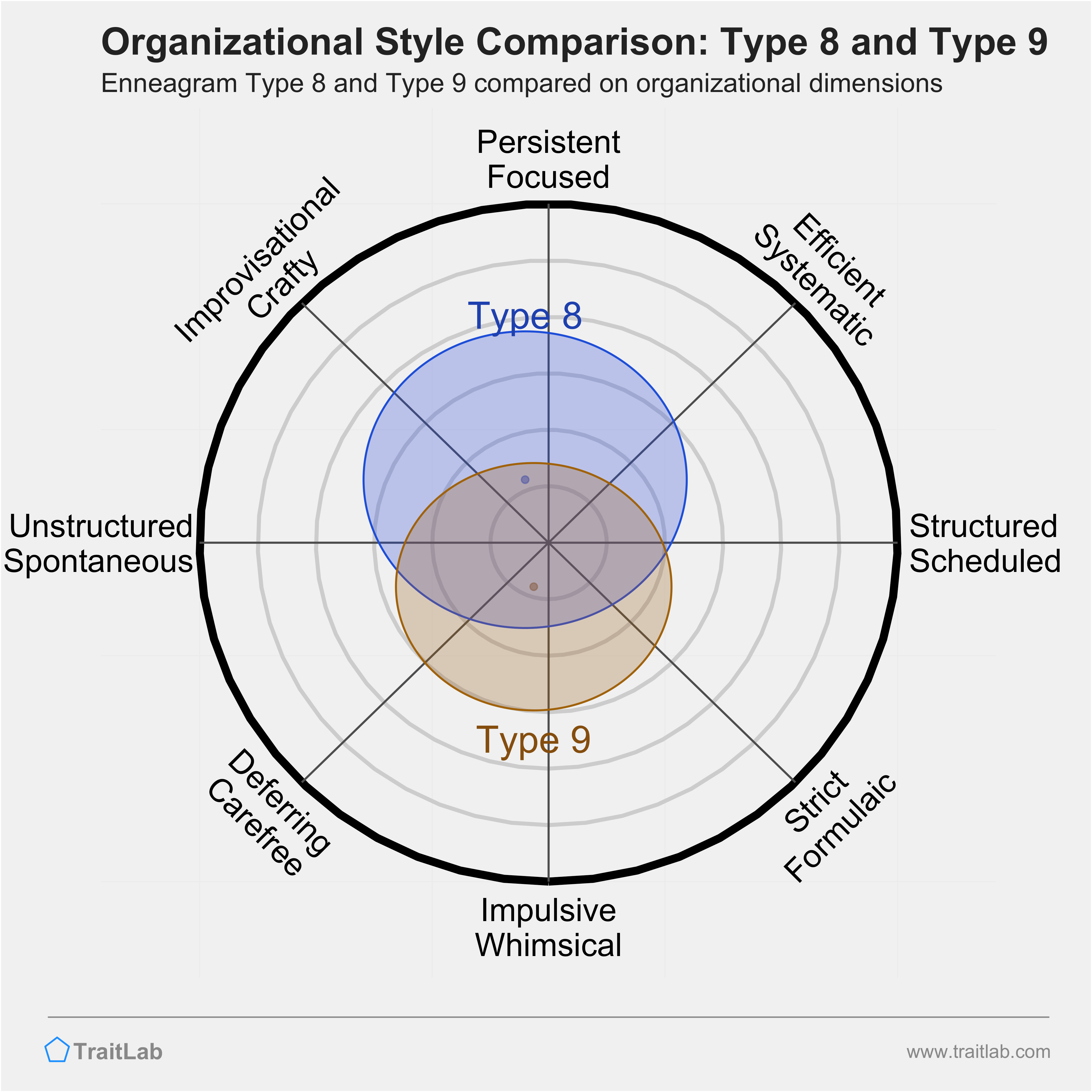Type 8 and Type 9 comparison across organizational dimensions