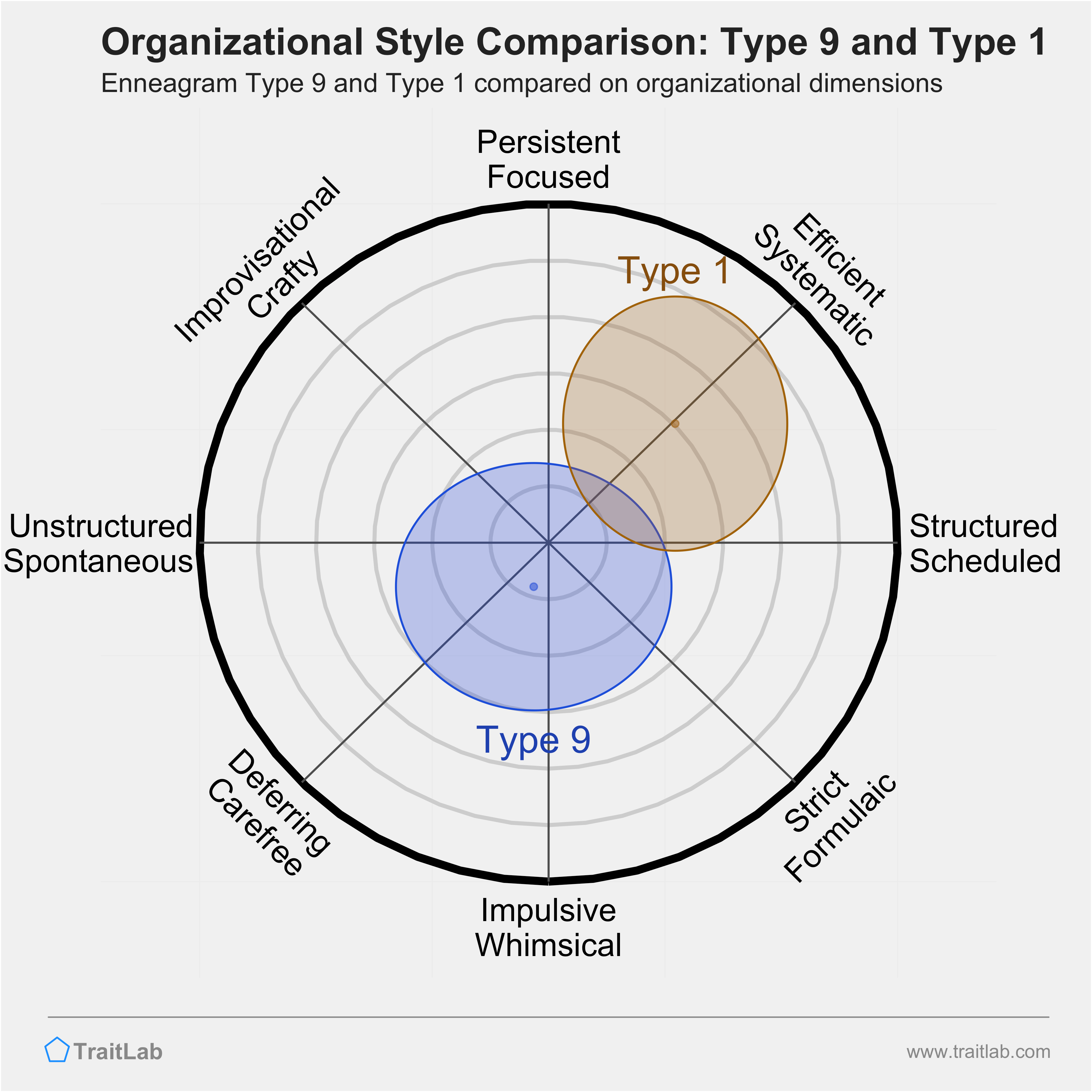 Type 9 and Type 1 comparison across organizational dimensions
