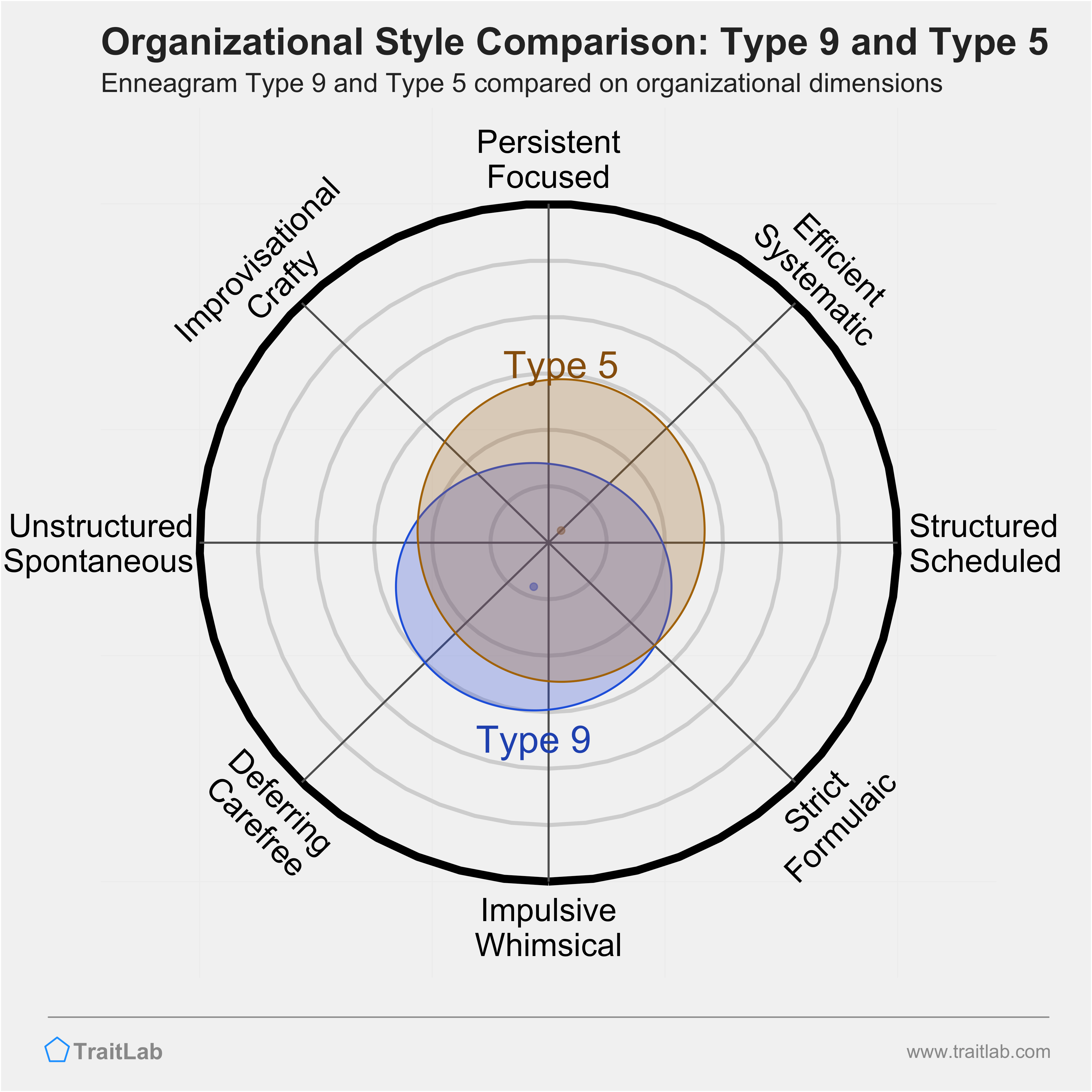Type 9 and Type 5 comparison across organizational dimensions