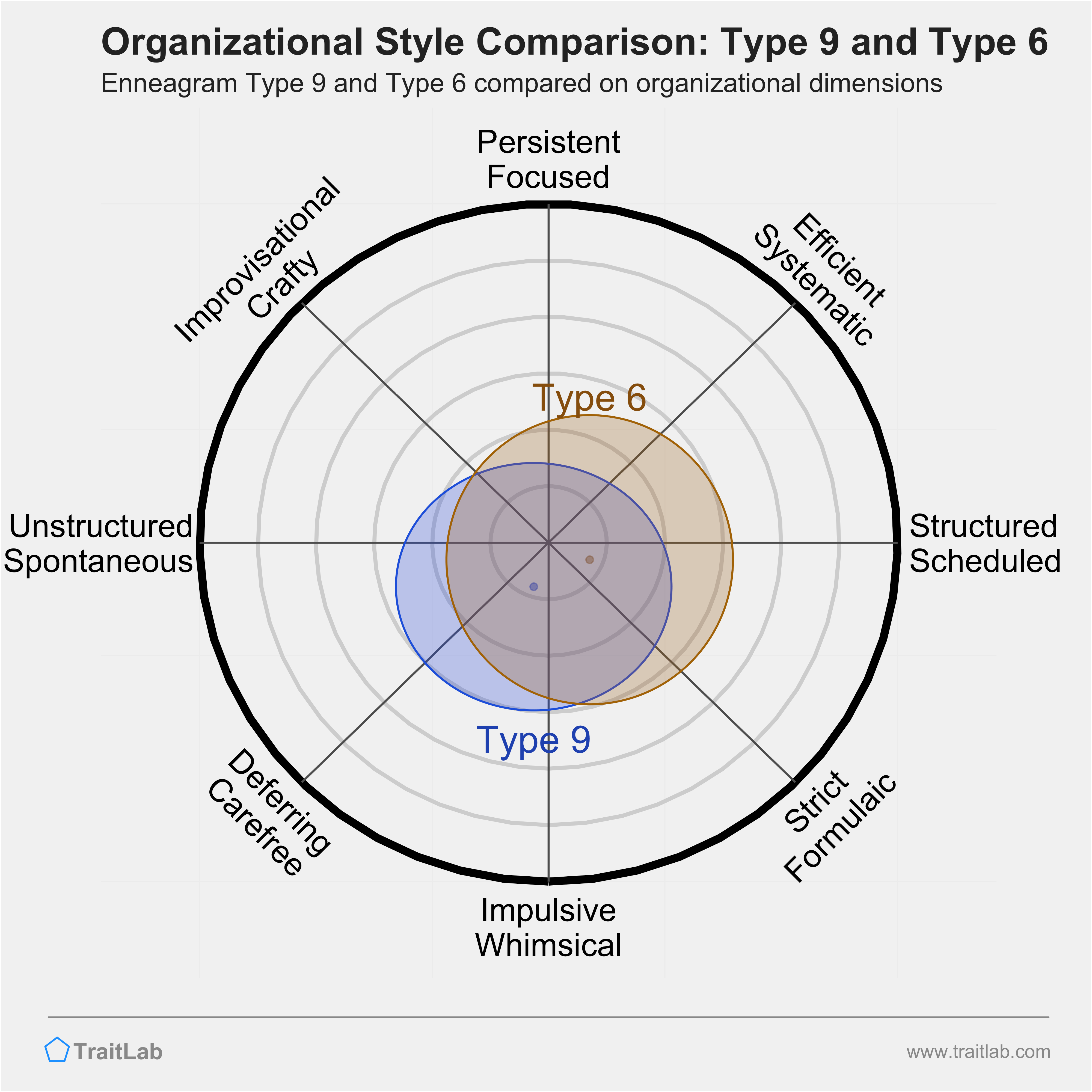 Type 9 and Type 6 comparison across organizational dimensions