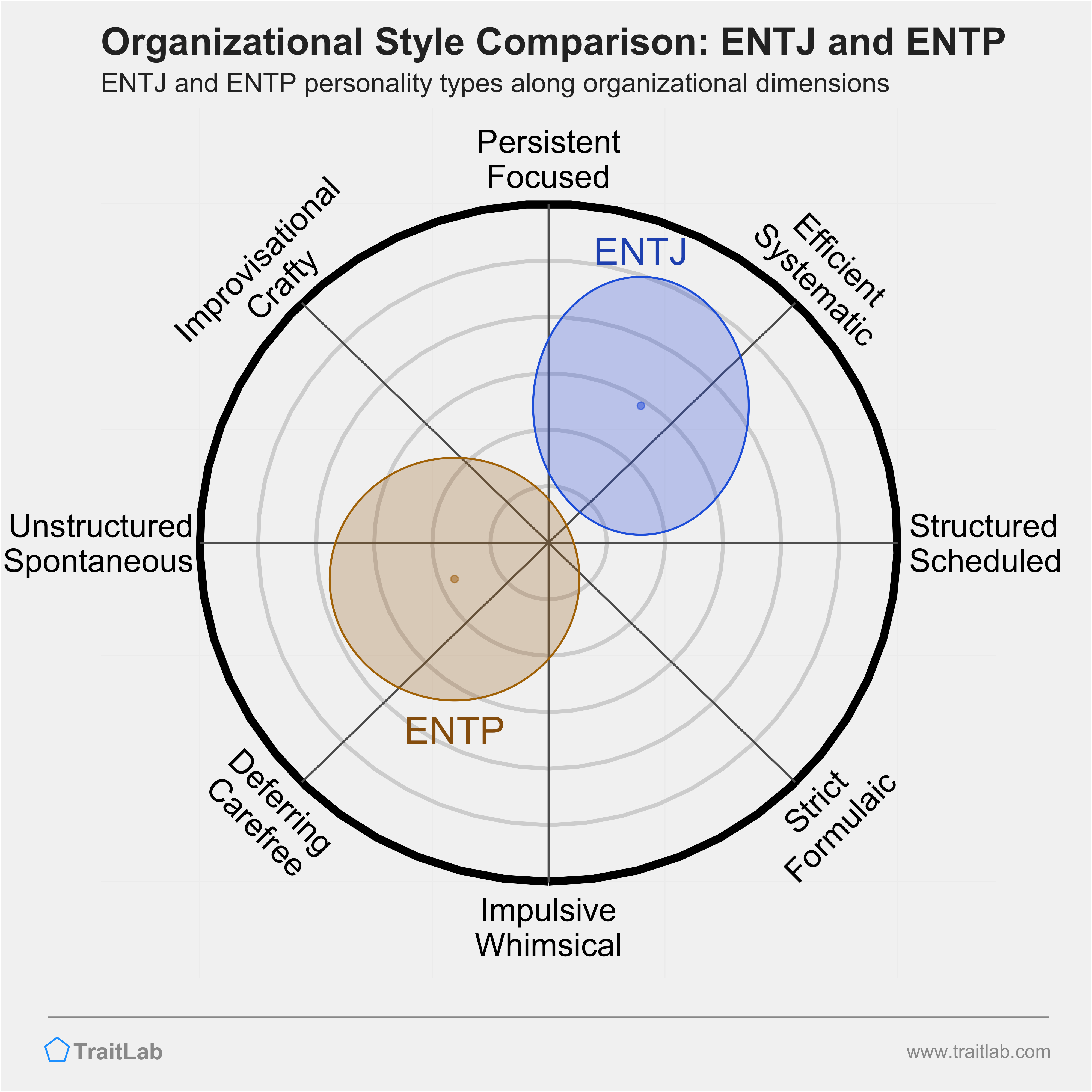 ENTJ and ENTP comparison across organizational dimensions
