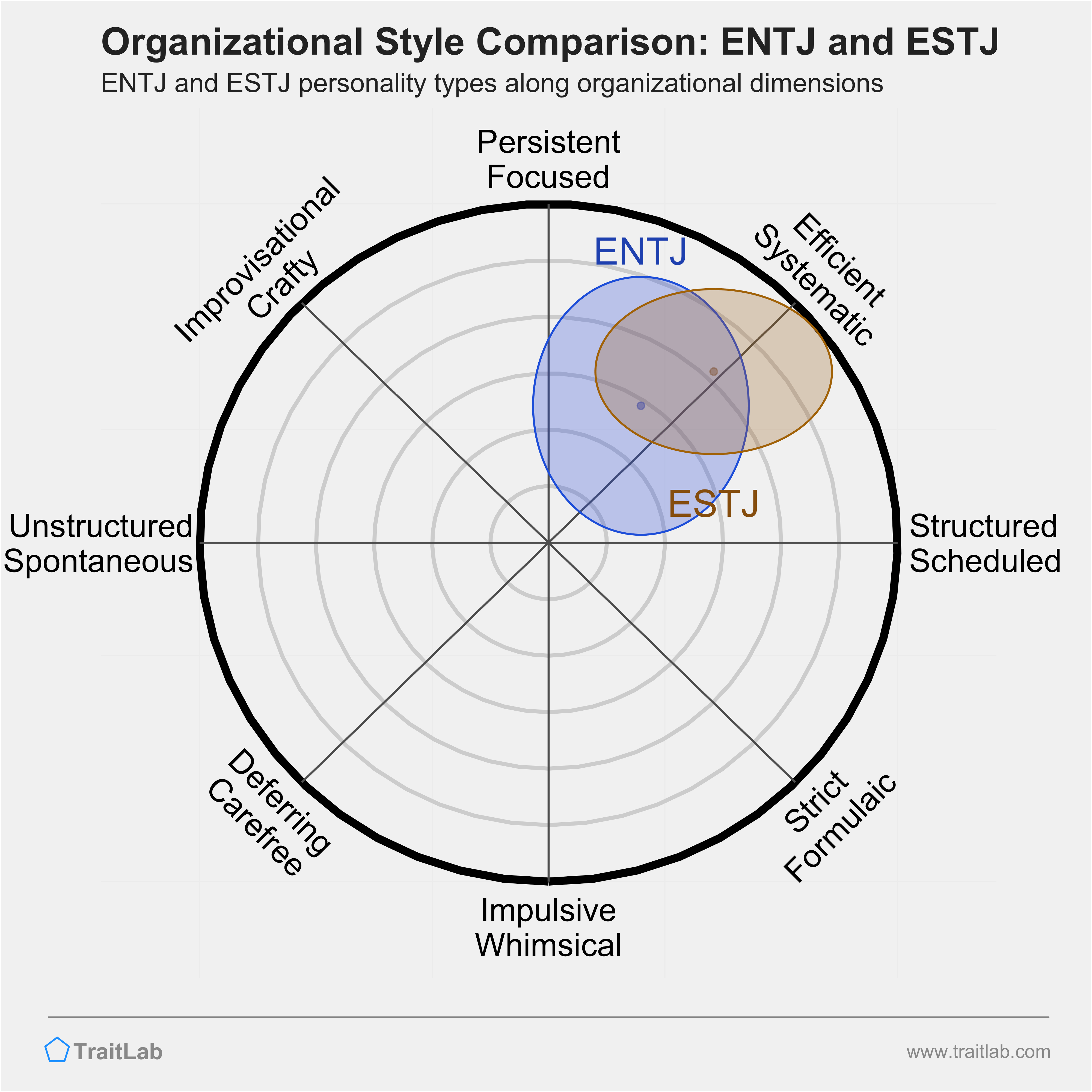 ENTJ and ESTJ comparison across organizational dimensions