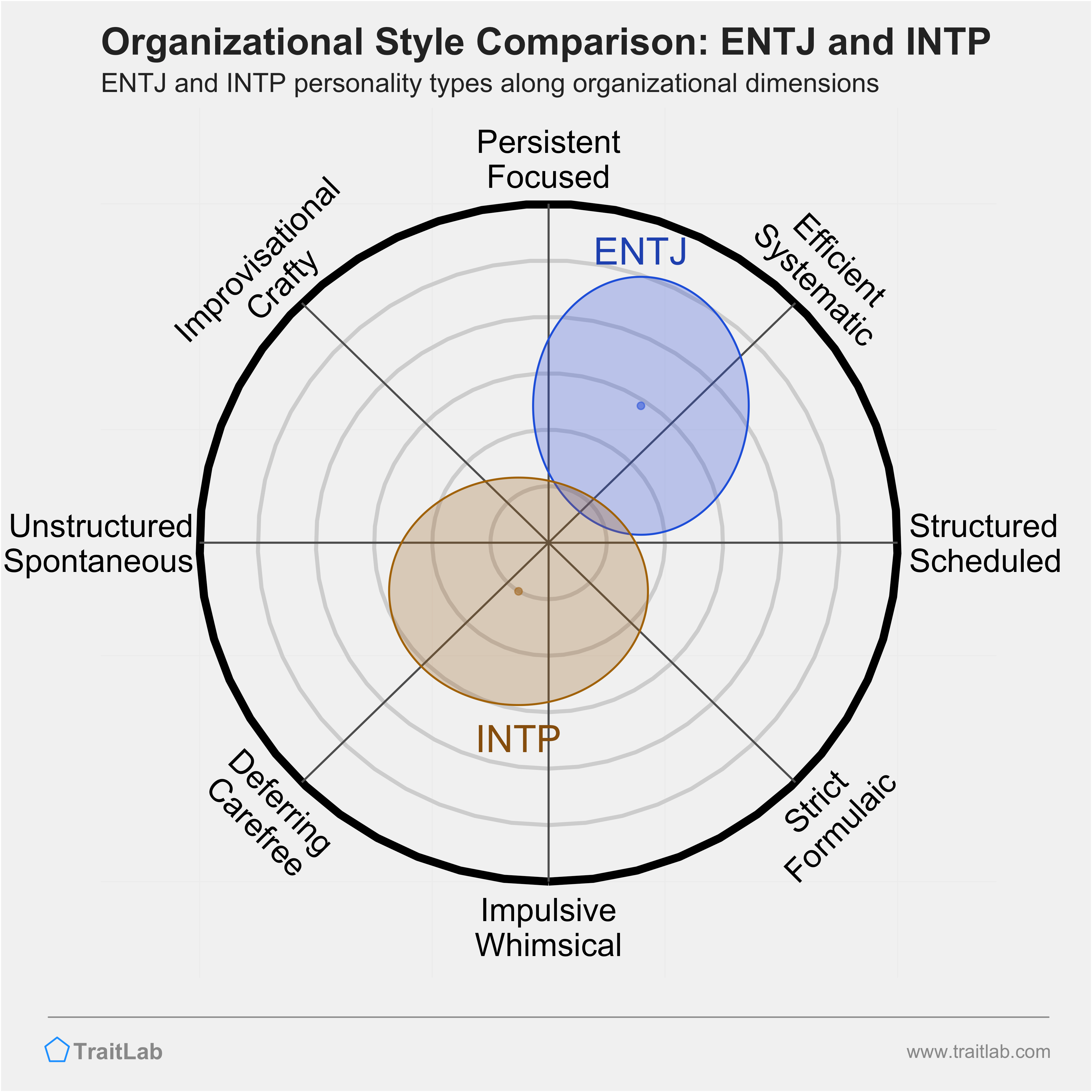 ENTJ and INTP comparison across organizational dimensions