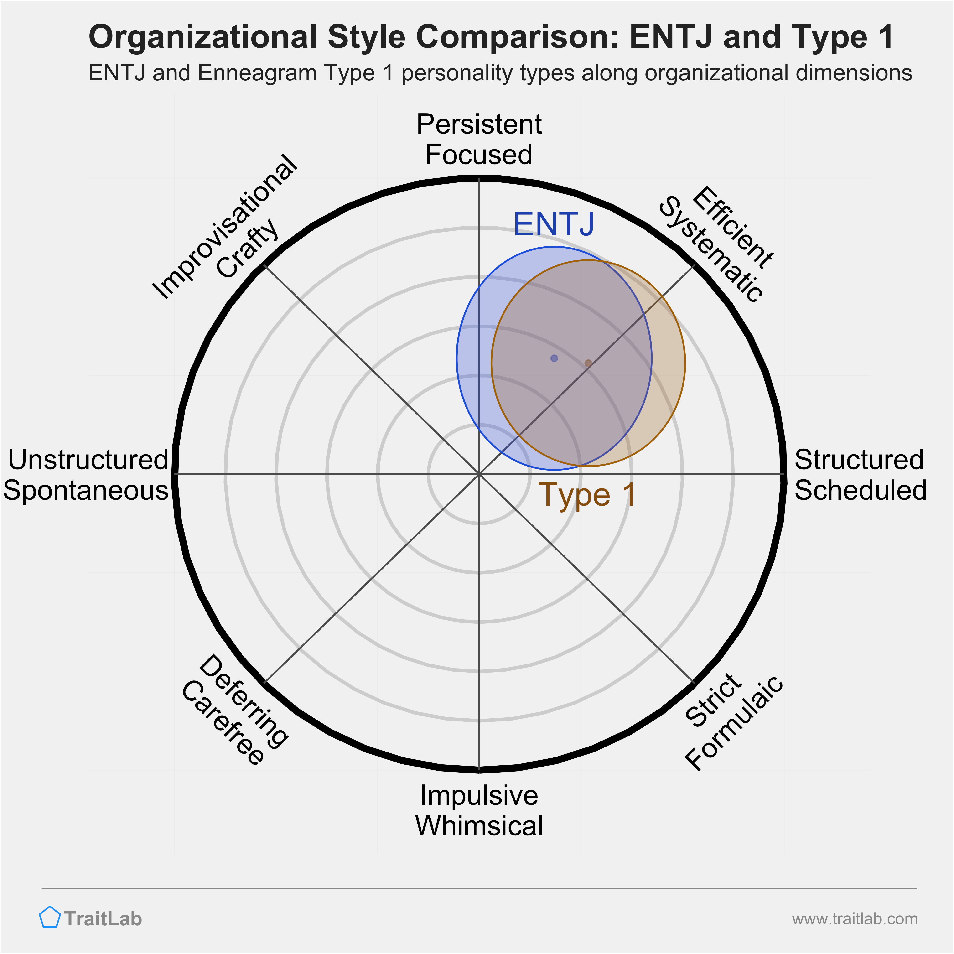 ENTJ and Type 1 comparison across organizational dimensions