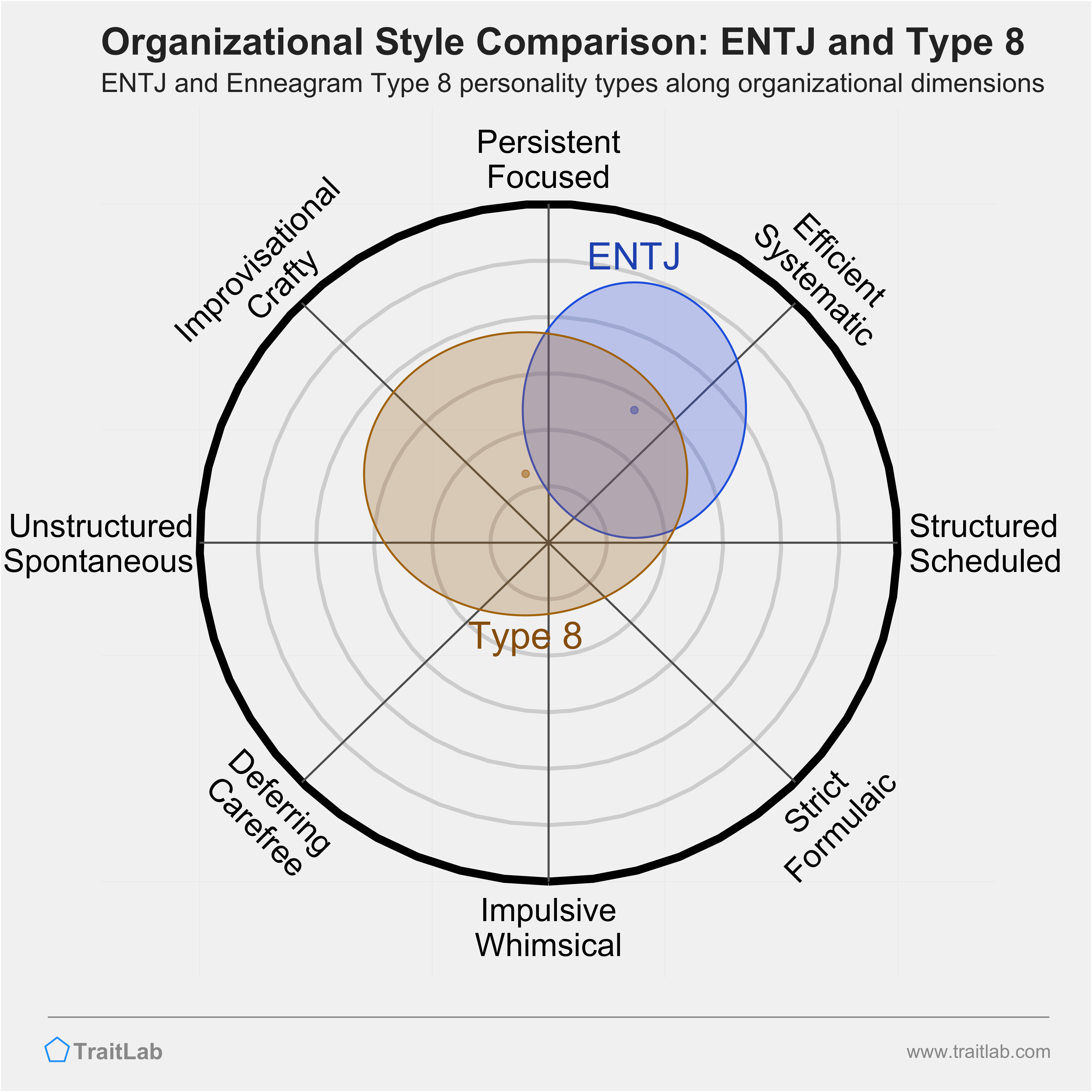 ENTJ and Type 8 comparison across organizational dimensions