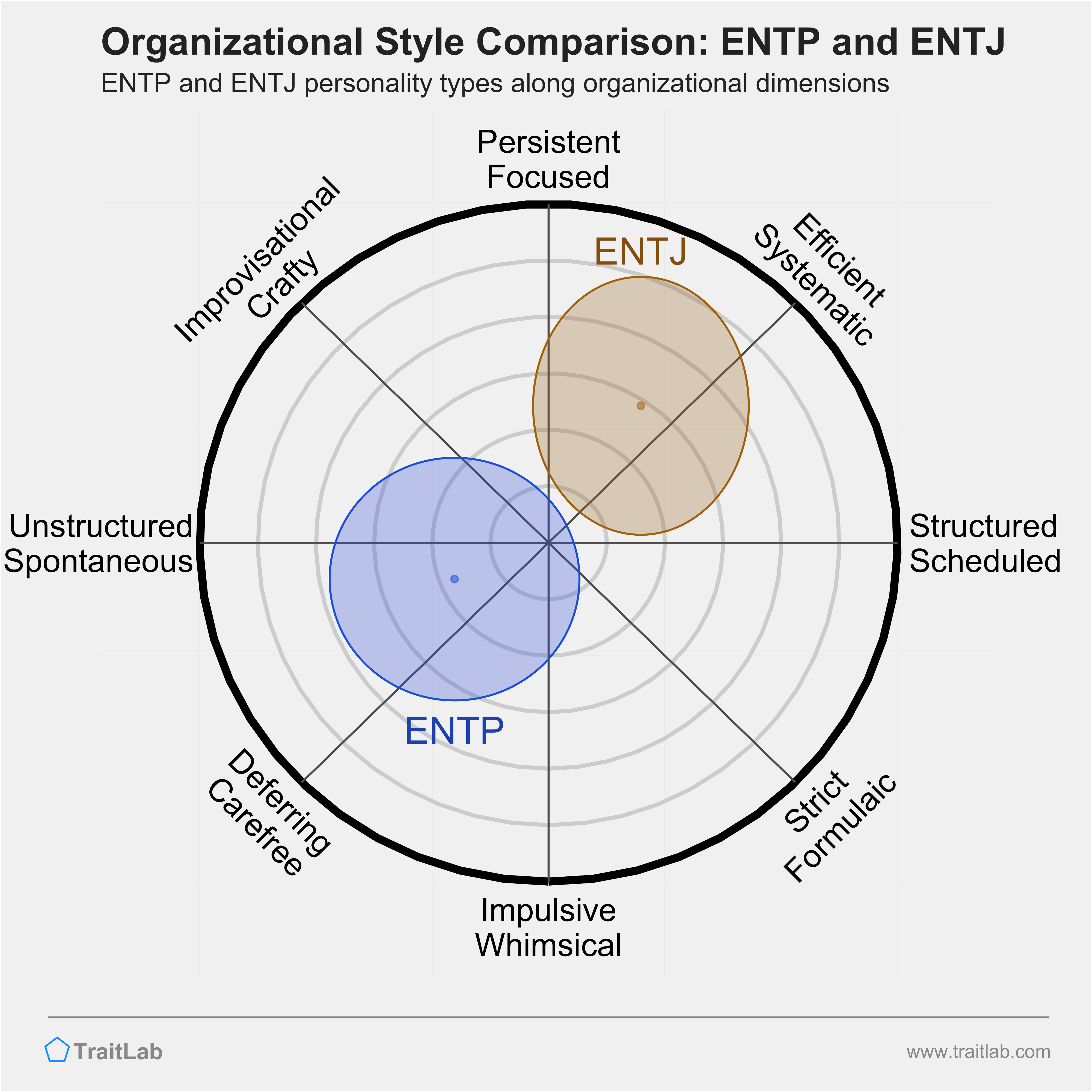 ENTP and ENTJ comparison across organizational dimensions