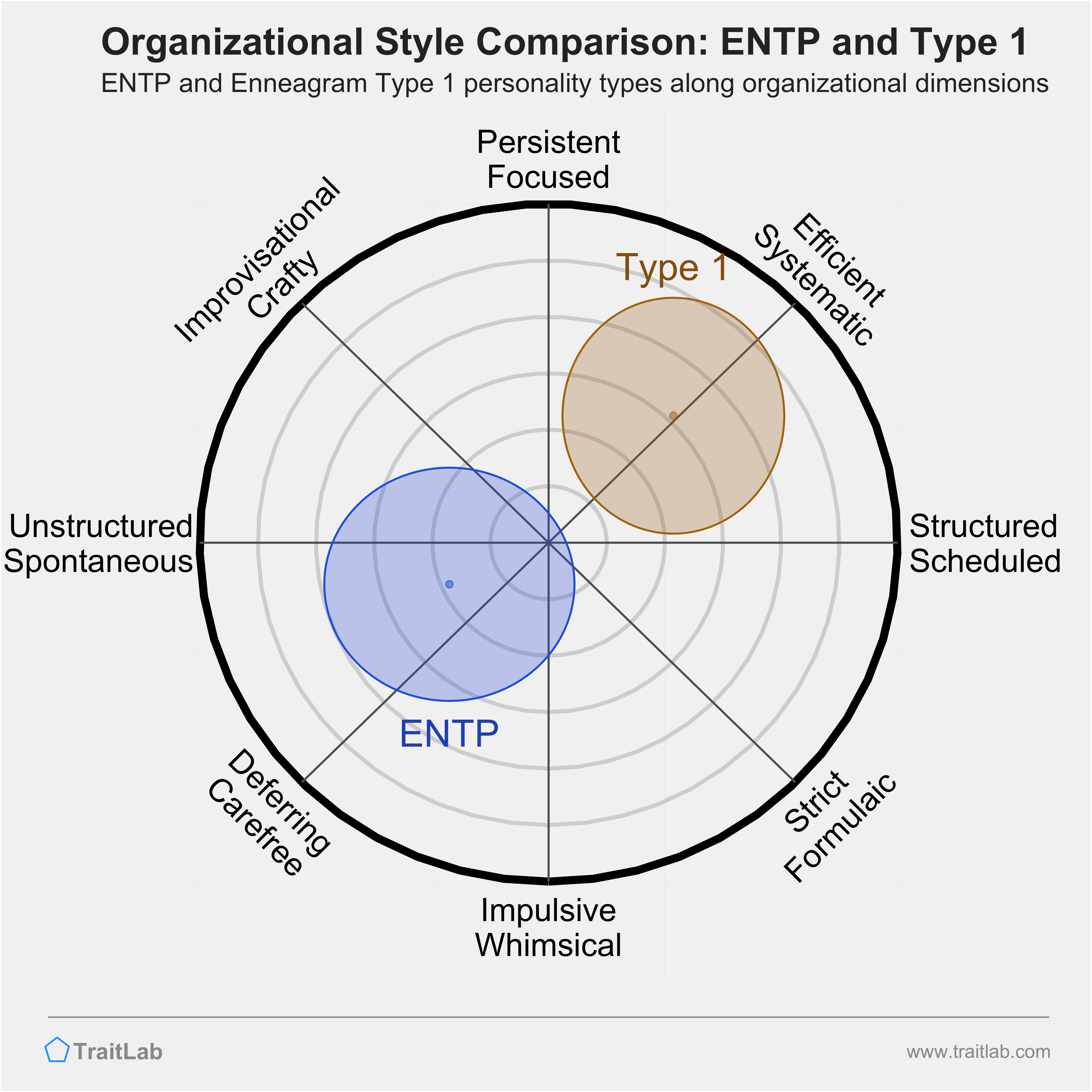 ENTP and Type 1 comparison across organizational dimensions