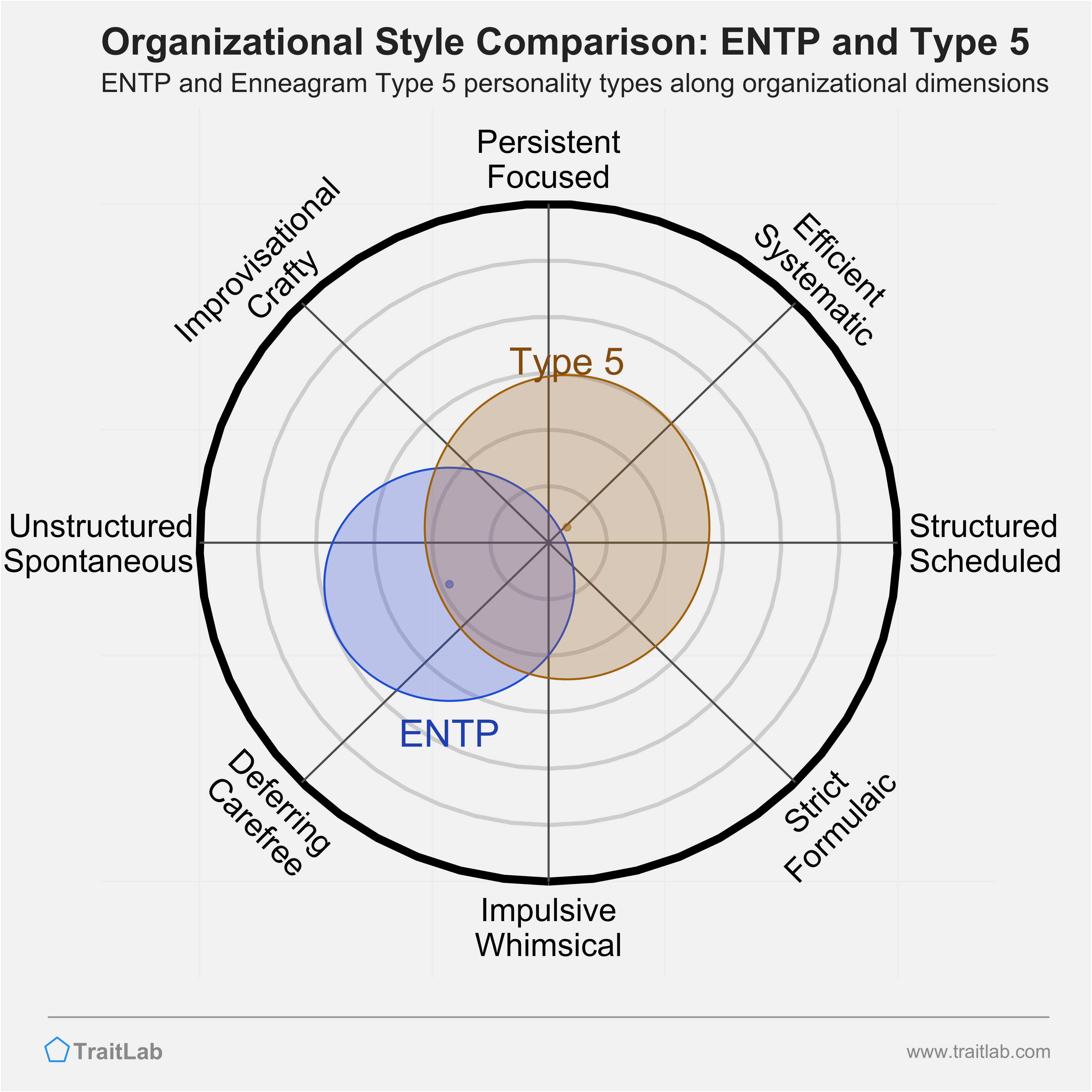 ENTP and Type 5 comparison across organizational dimensions