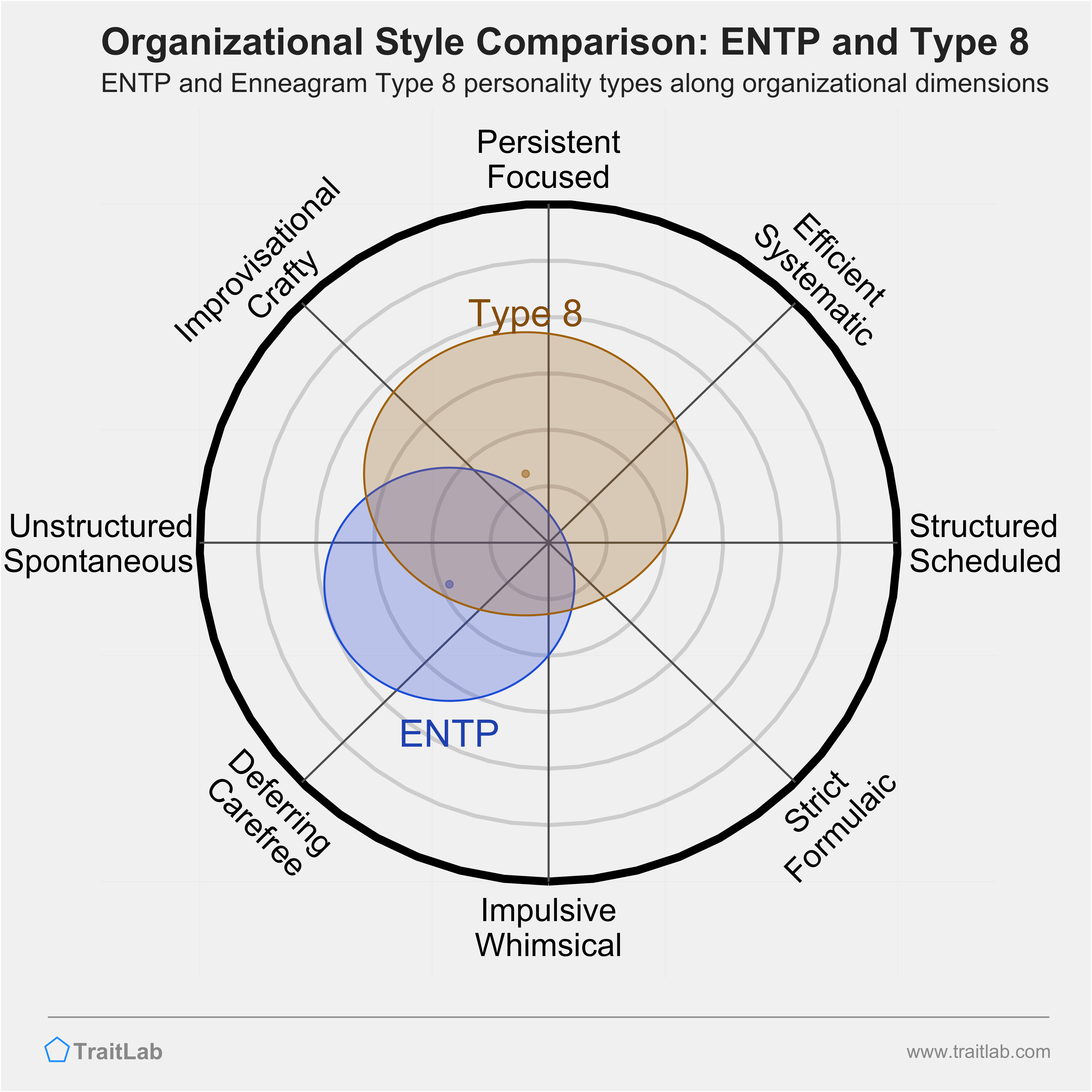 ENTP and Type 8 comparison across organizational dimensions