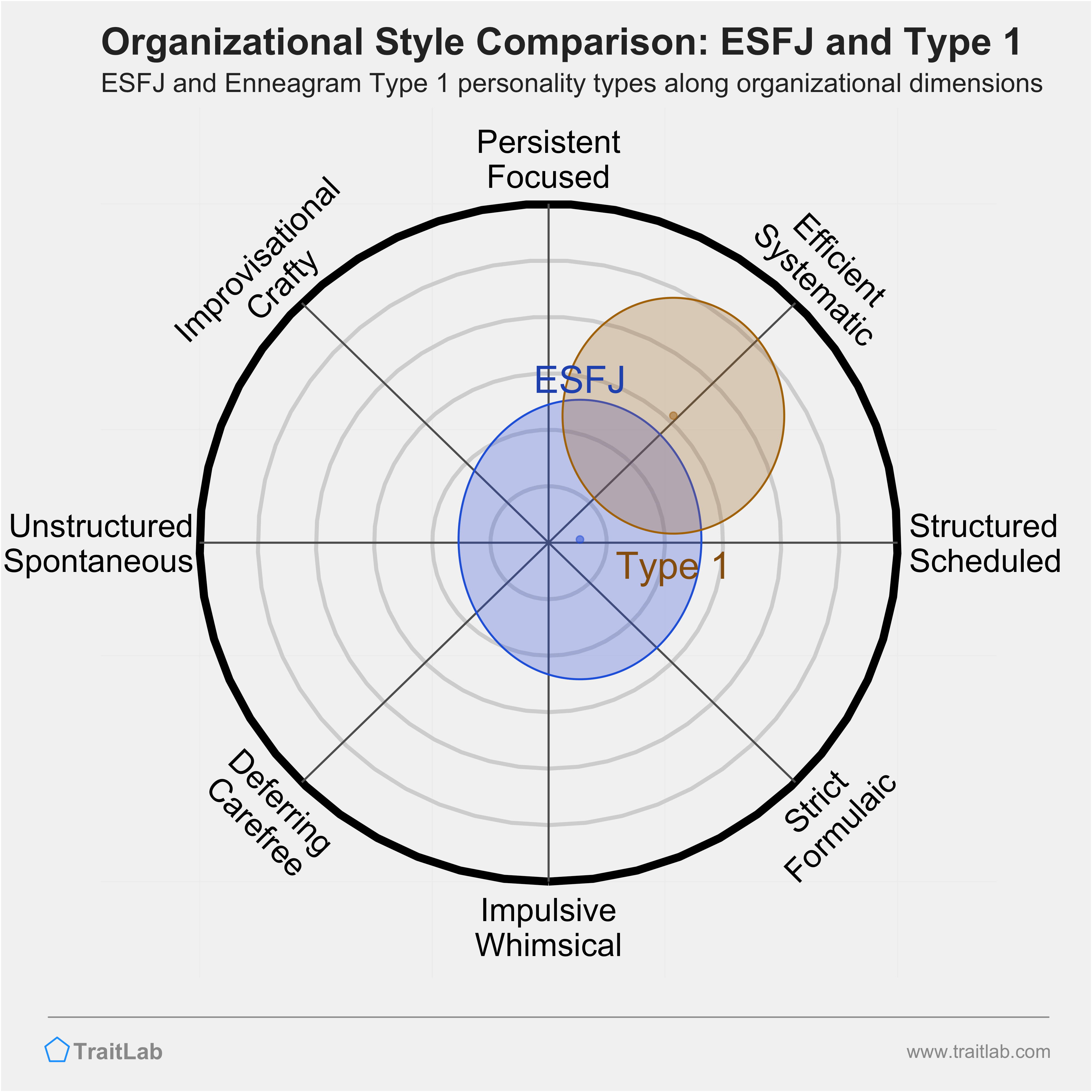 ESFJ and Type 1 comparison across organizational dimensions