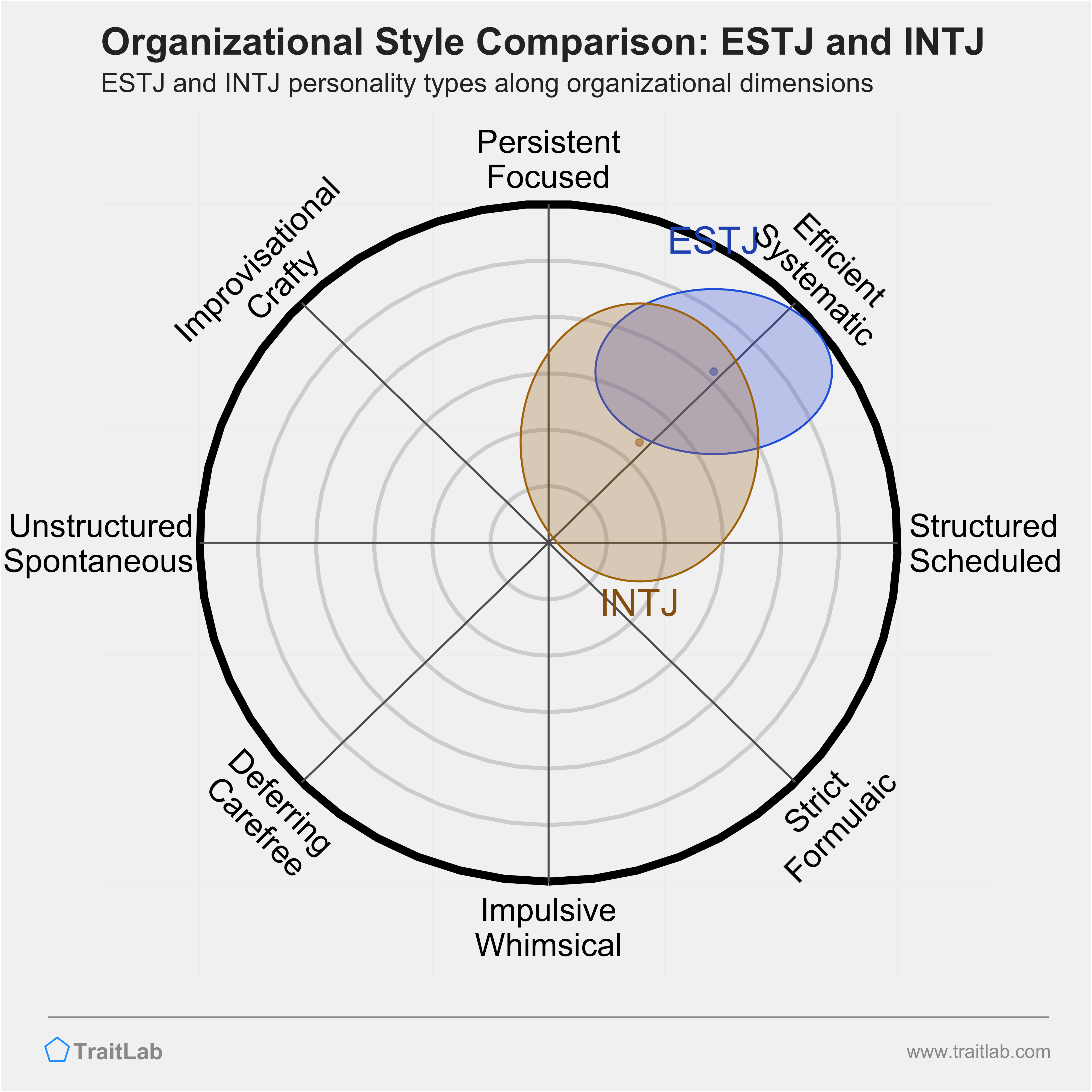 ESTJ and INTJ comparison across organizational dimensions