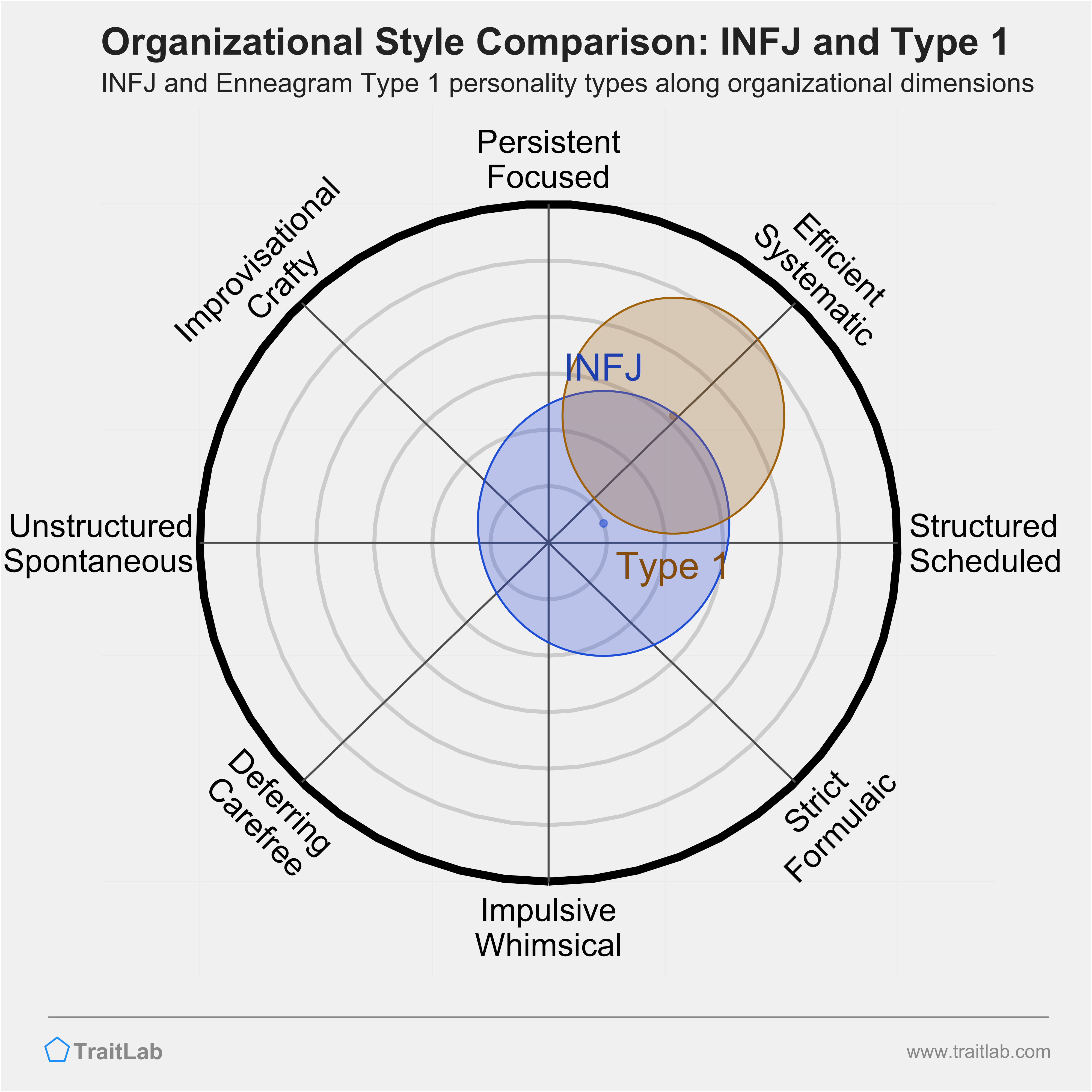INFJ and Type 1 comparison across organizational dimensions