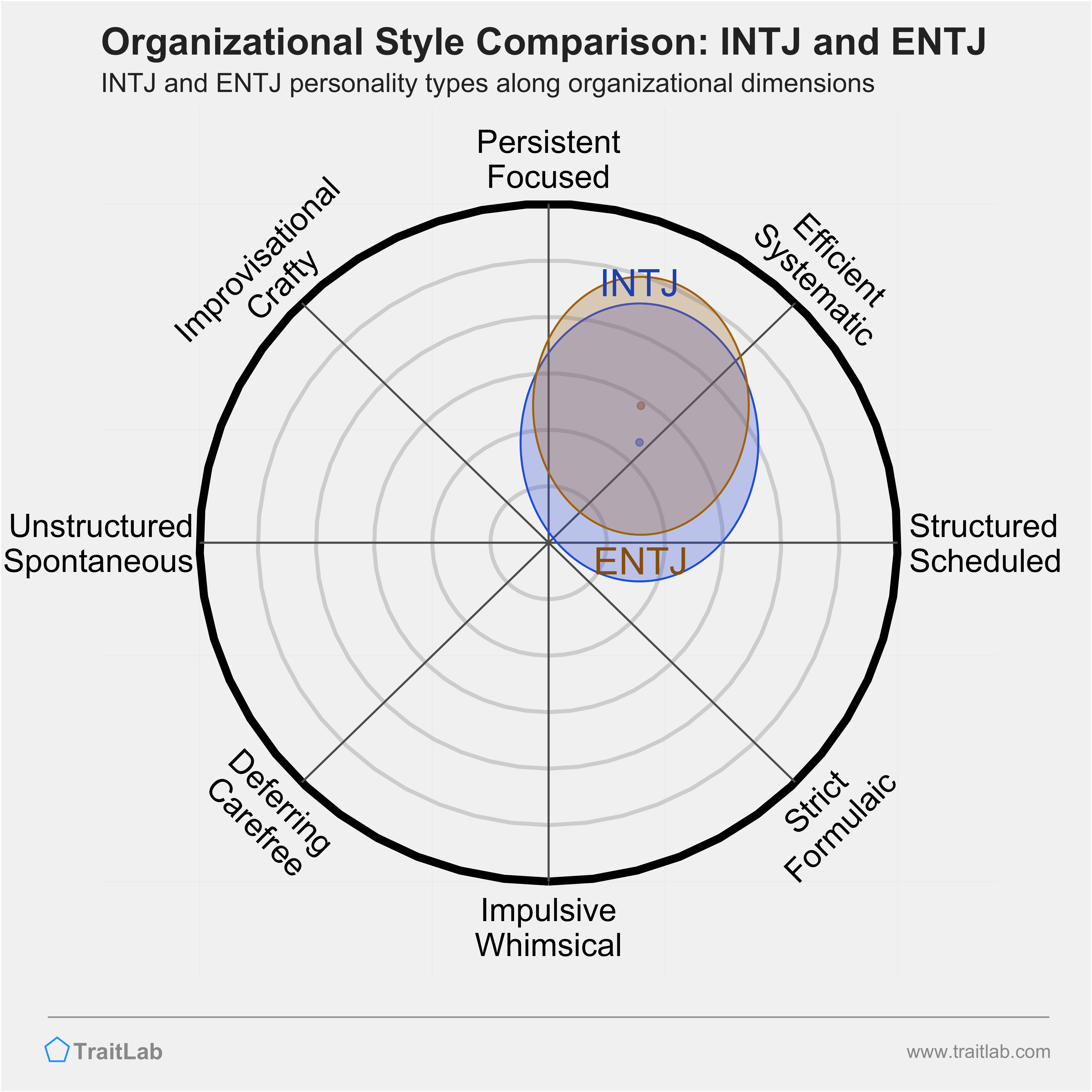 INTJ and ENTJ comparison across organizational dimensions