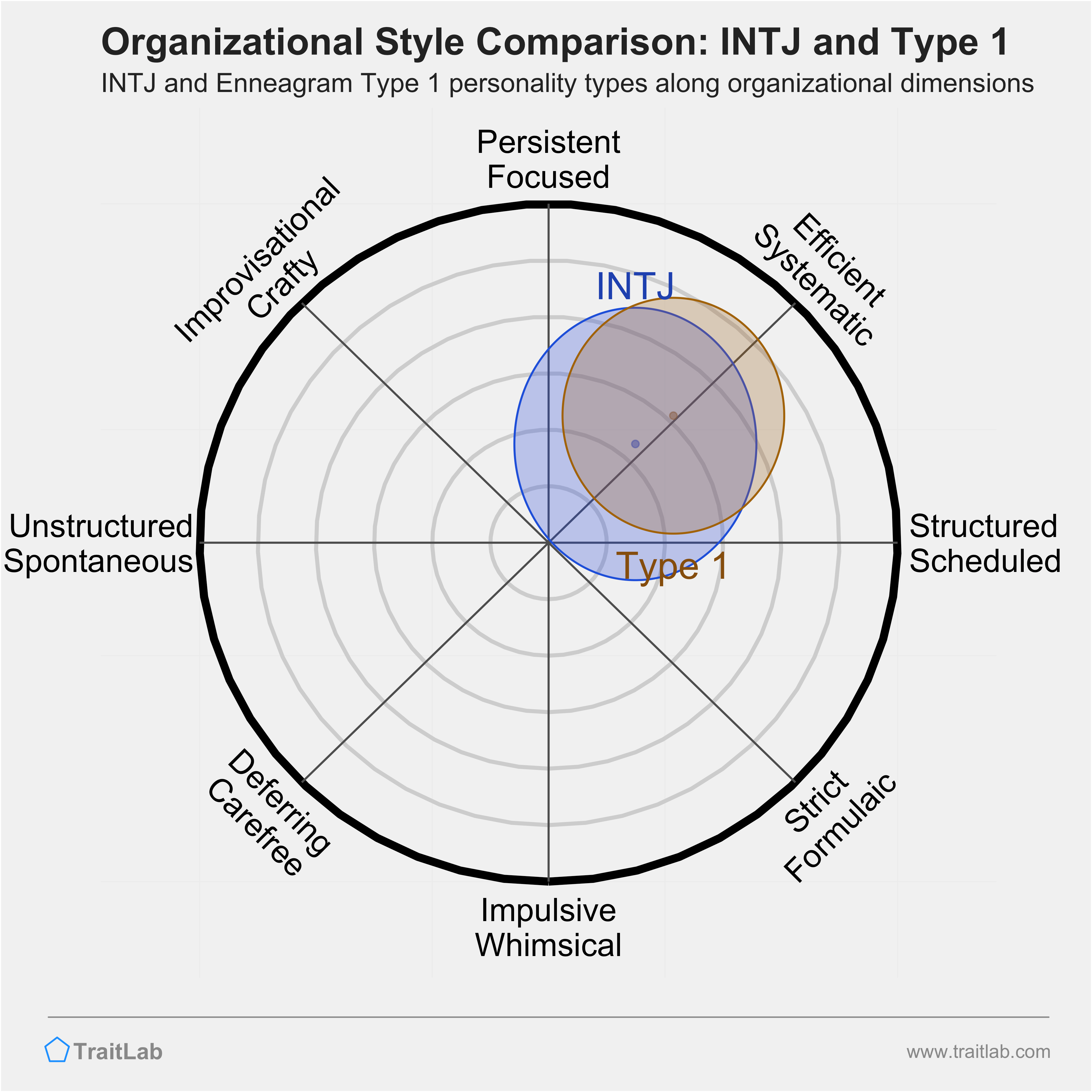 INTJ and Type 1 comparison across organizational dimensions