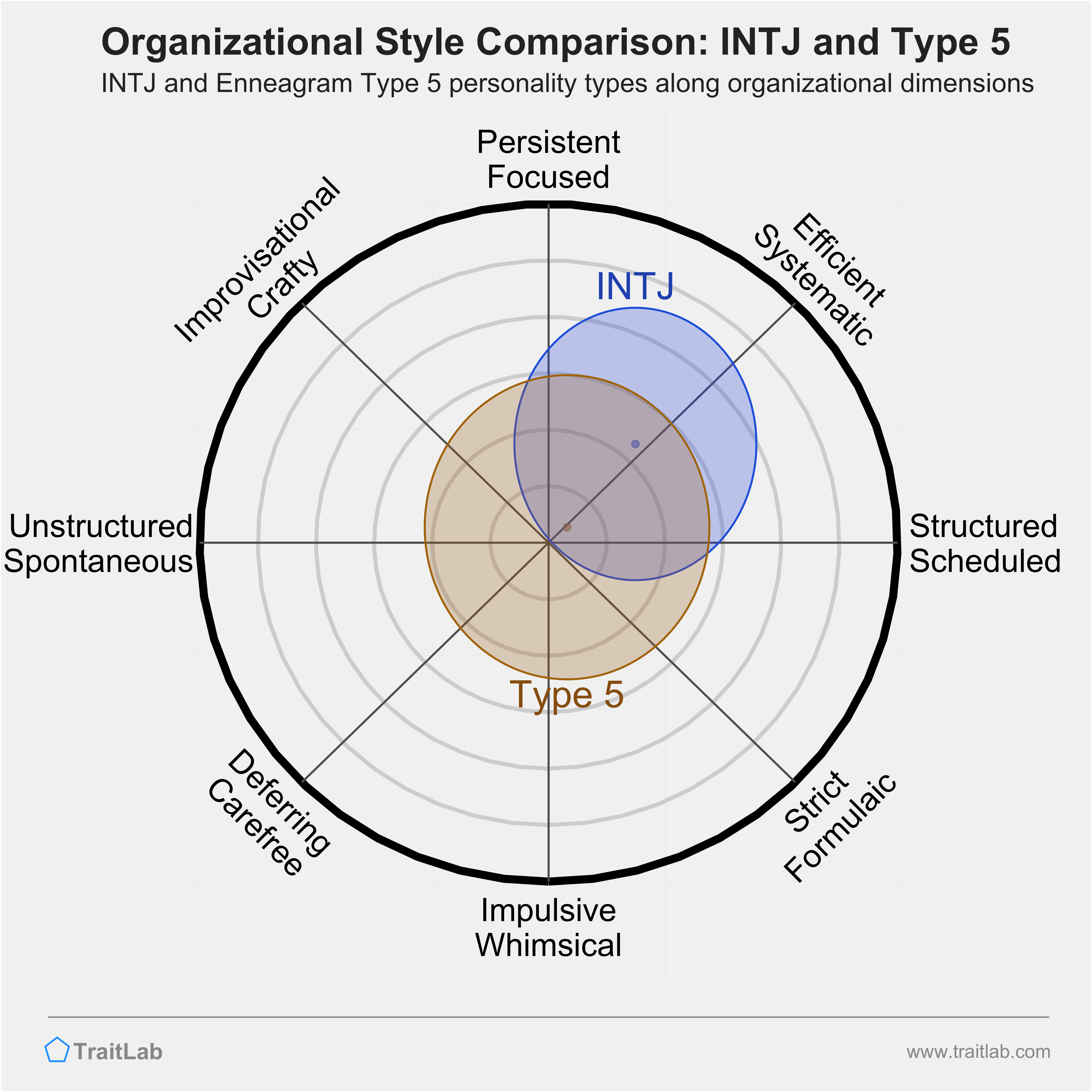 INTJ and Type 5 comparison across organizational dimensions