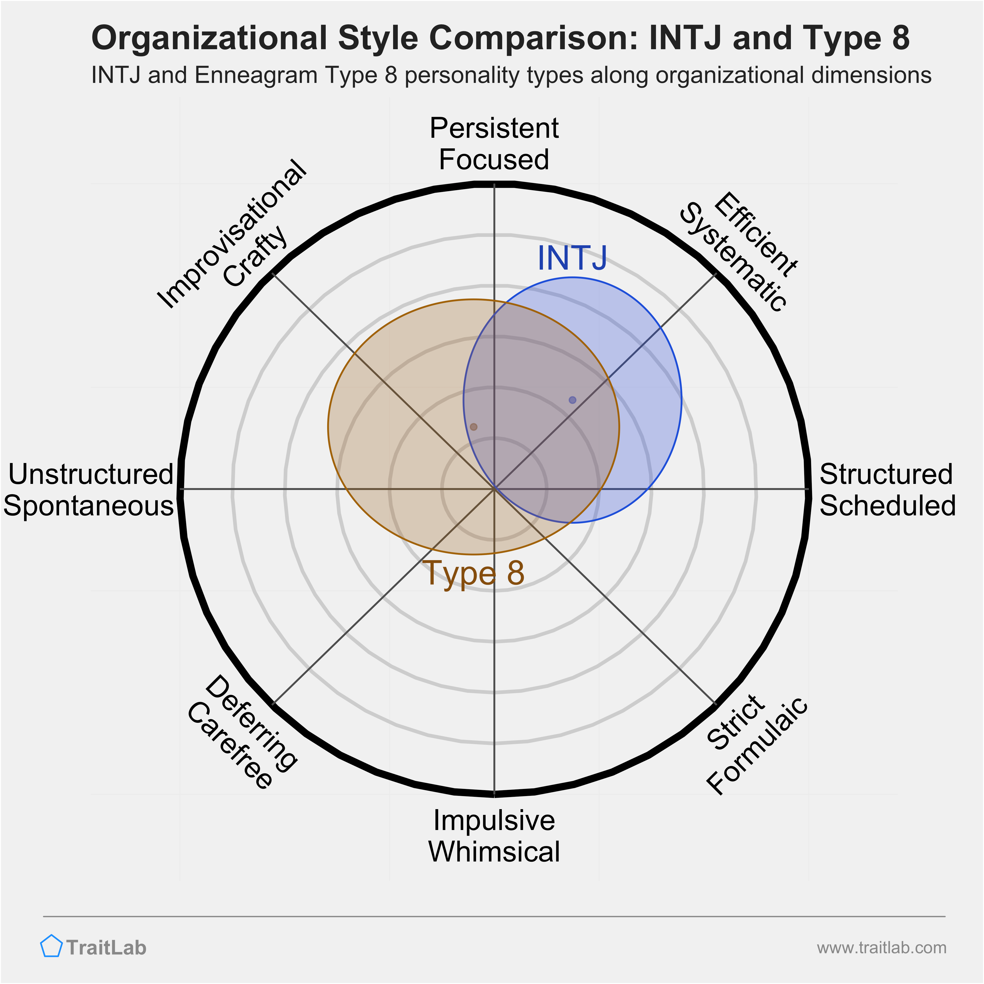 INTJ and Type 8 comparison across organizational dimensions