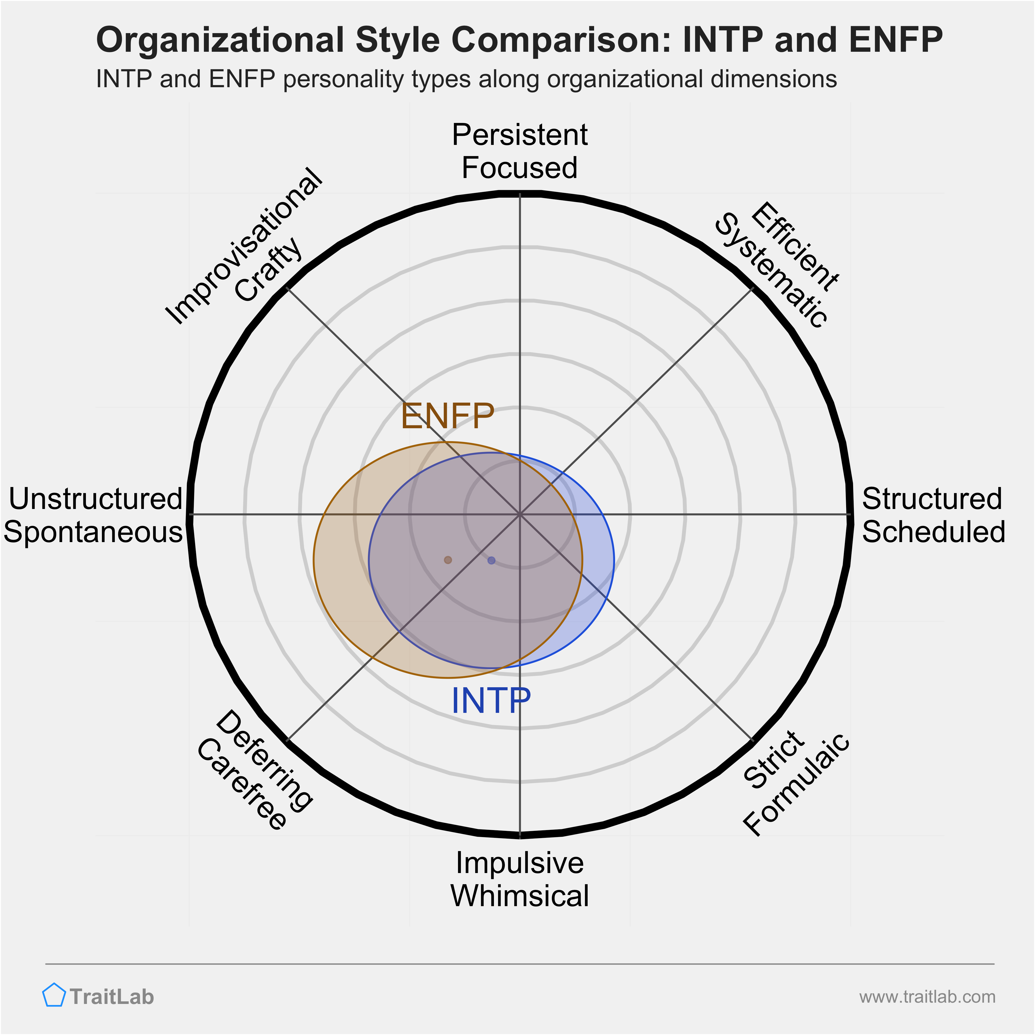 INTP and ENFP comparison across organizational dimensions