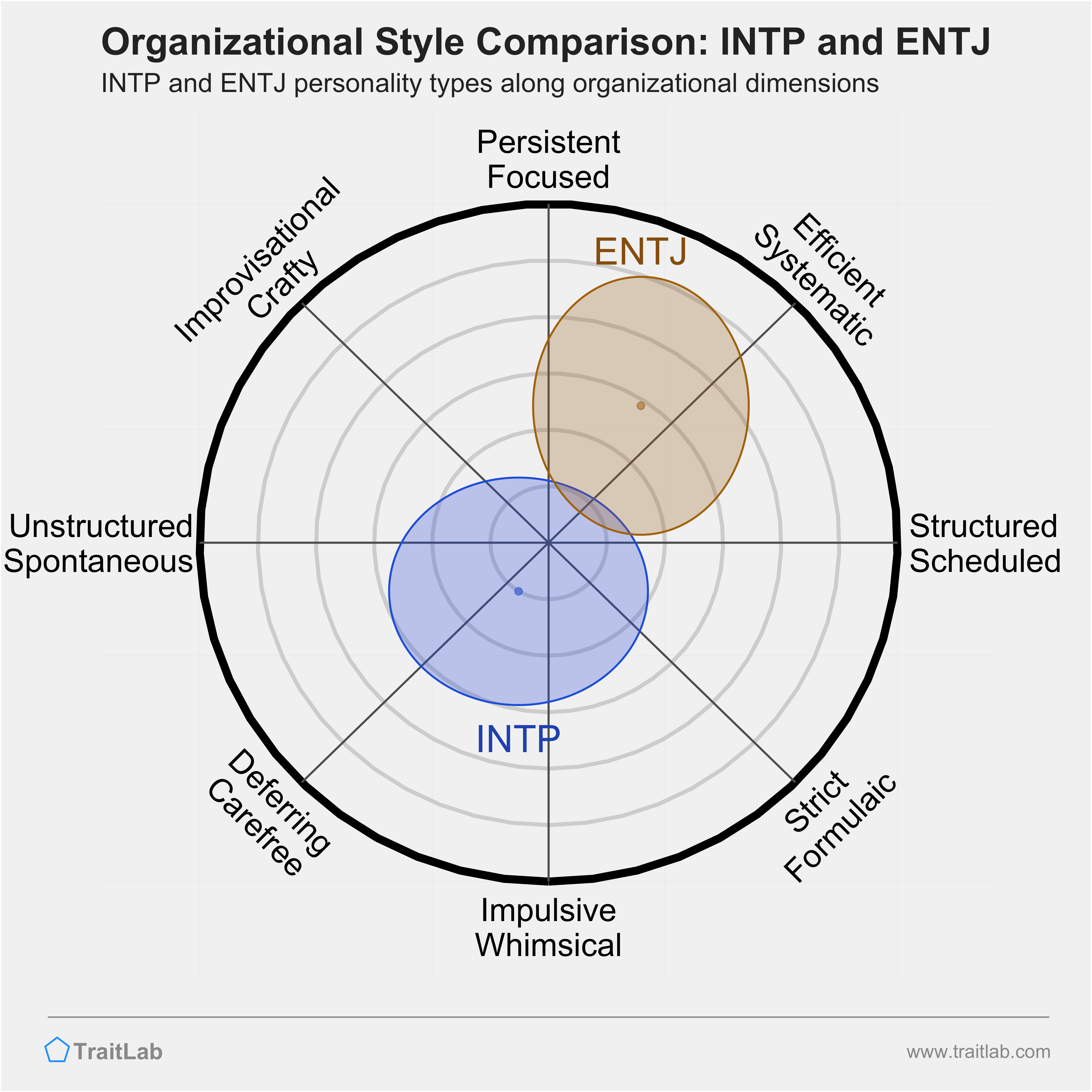 INTP and ENTJ comparison across organizational dimensions