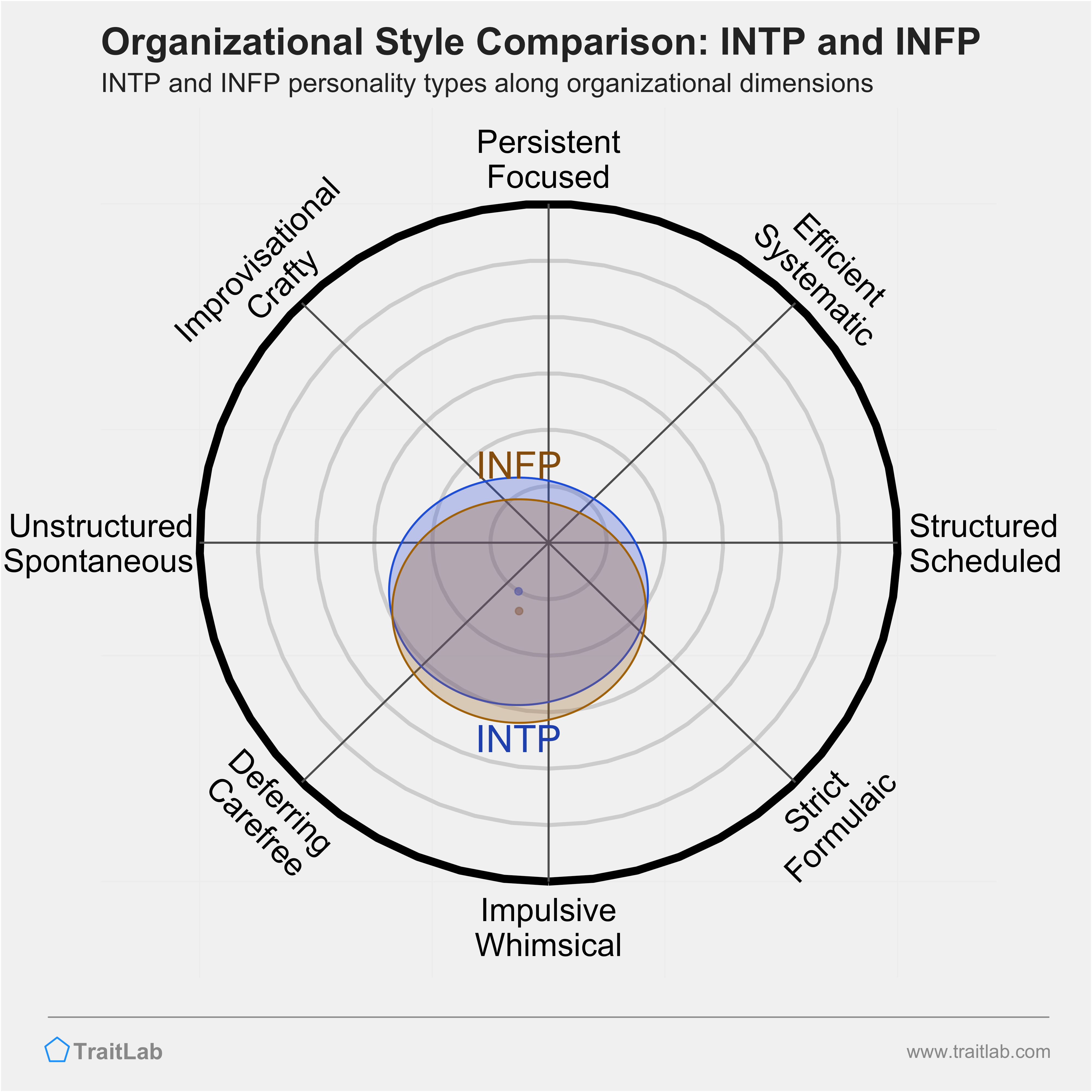 INTP and INFP comparison across organizational dimensions