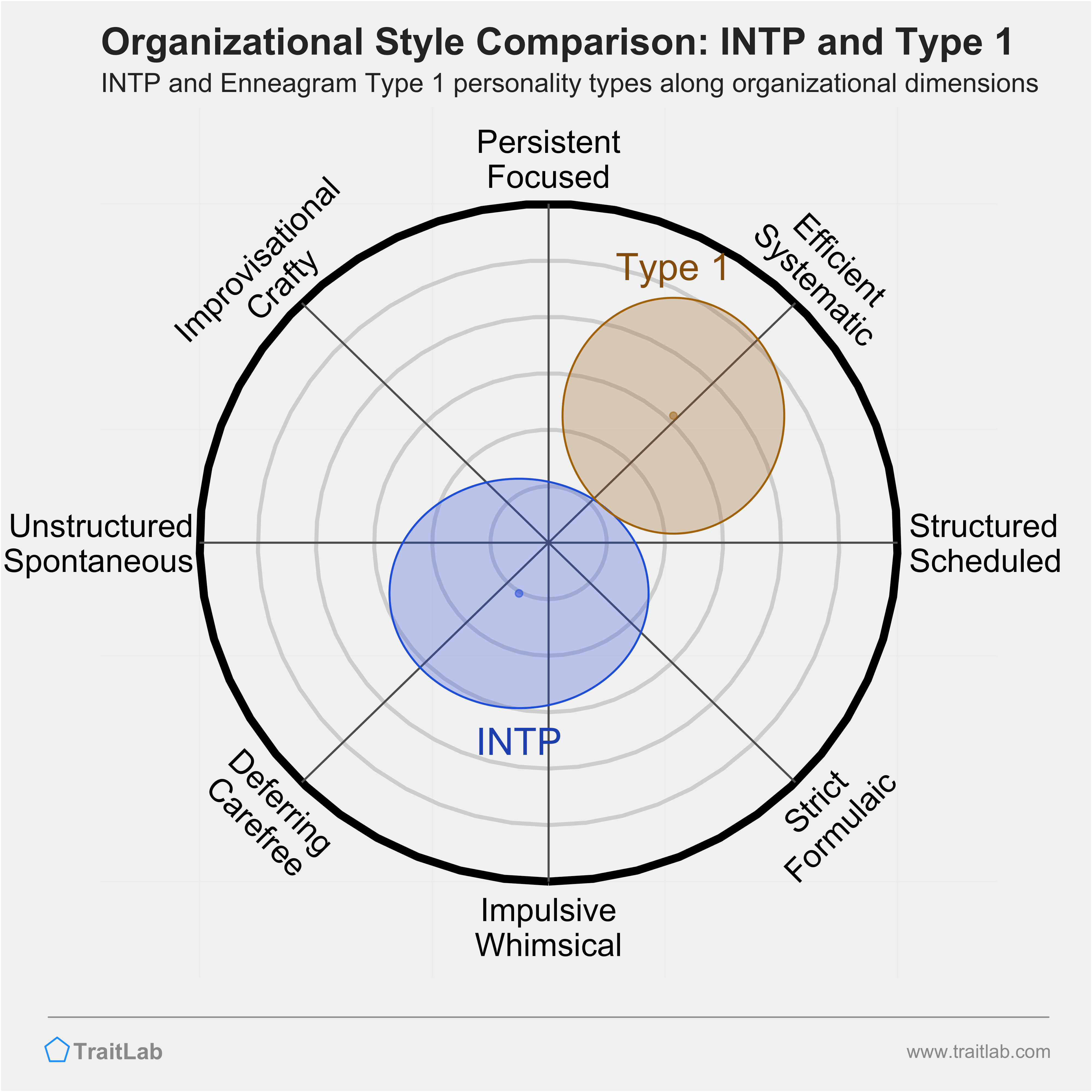 INTP and Type 1 comparison across organizational dimensions