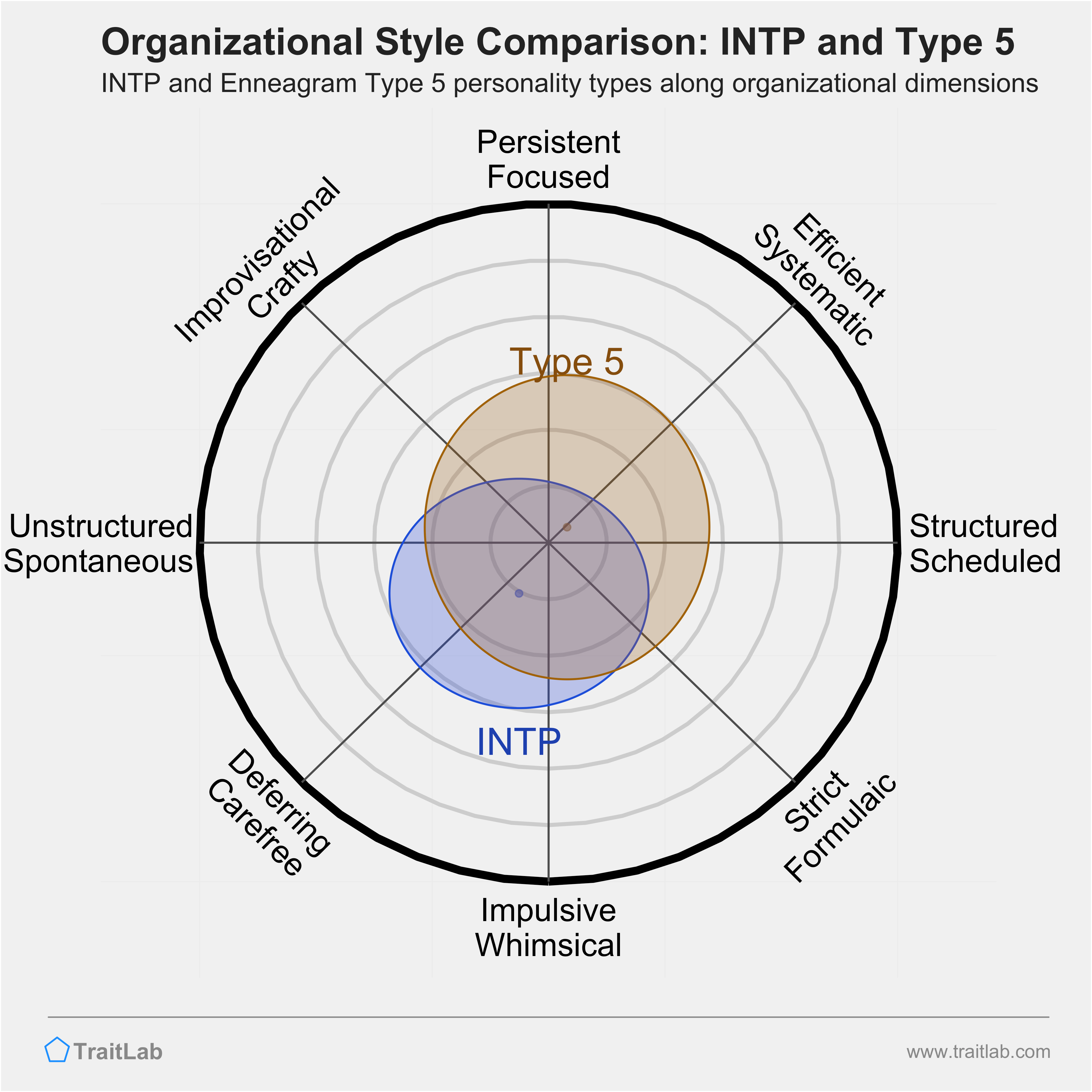 INTP and Type 5 comparison across organizational dimensions